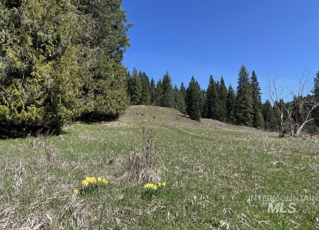 936 Red Fir Property Photo 6