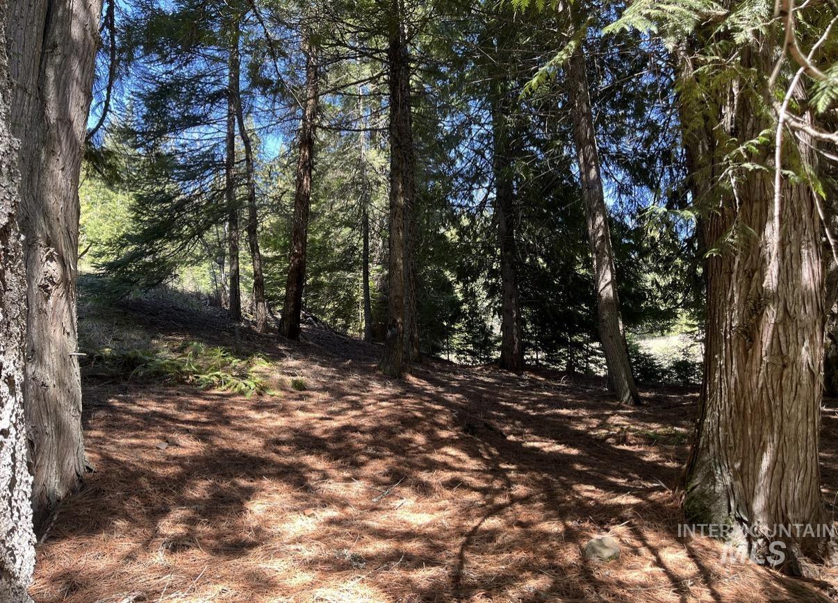 936 Red Fir Property Photo 7