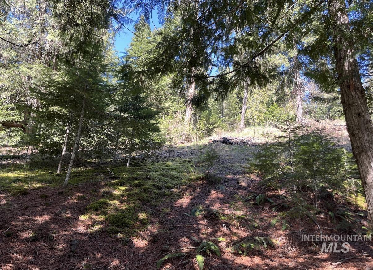 936 Red Fir Property Photo 8