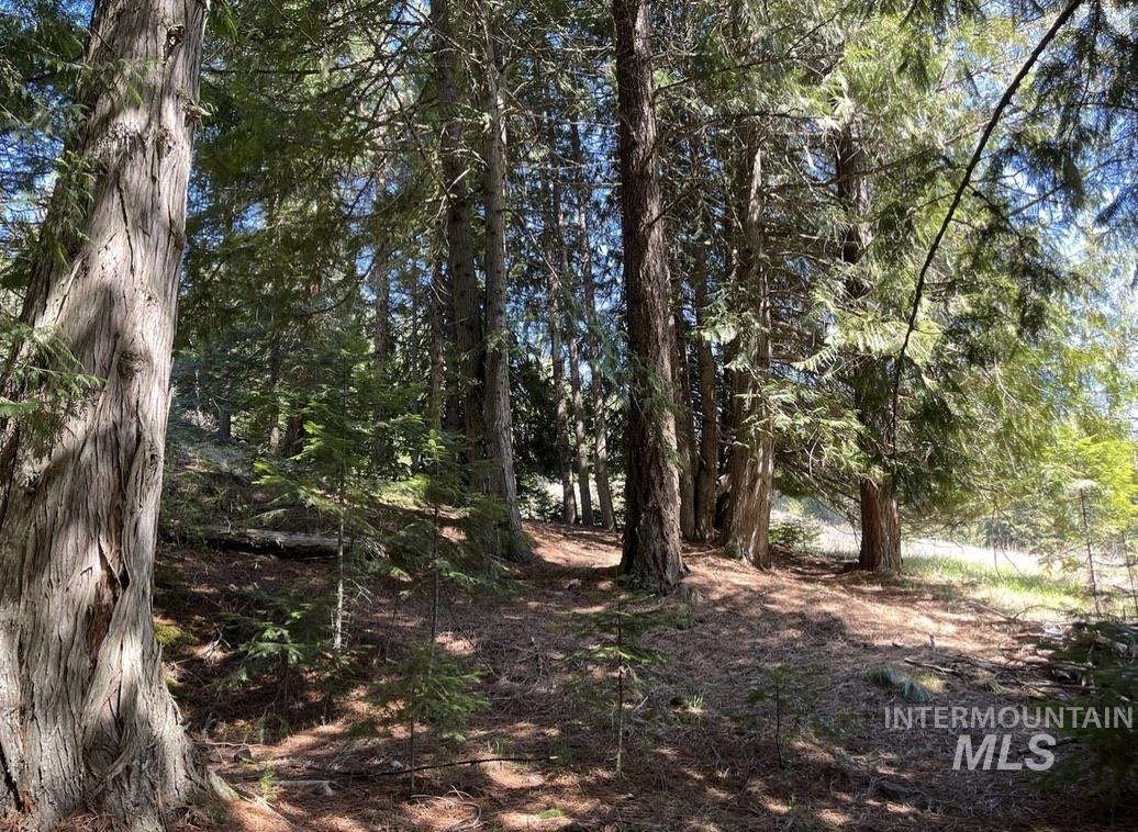 936 Red Fir Property Photo 9