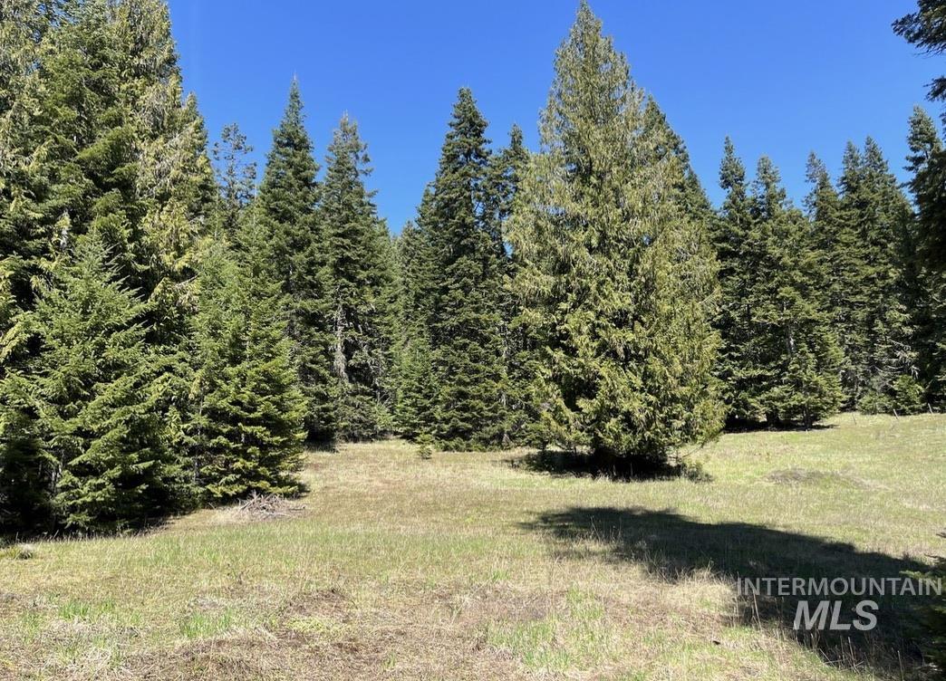 936 Red Fir Property Photo 11