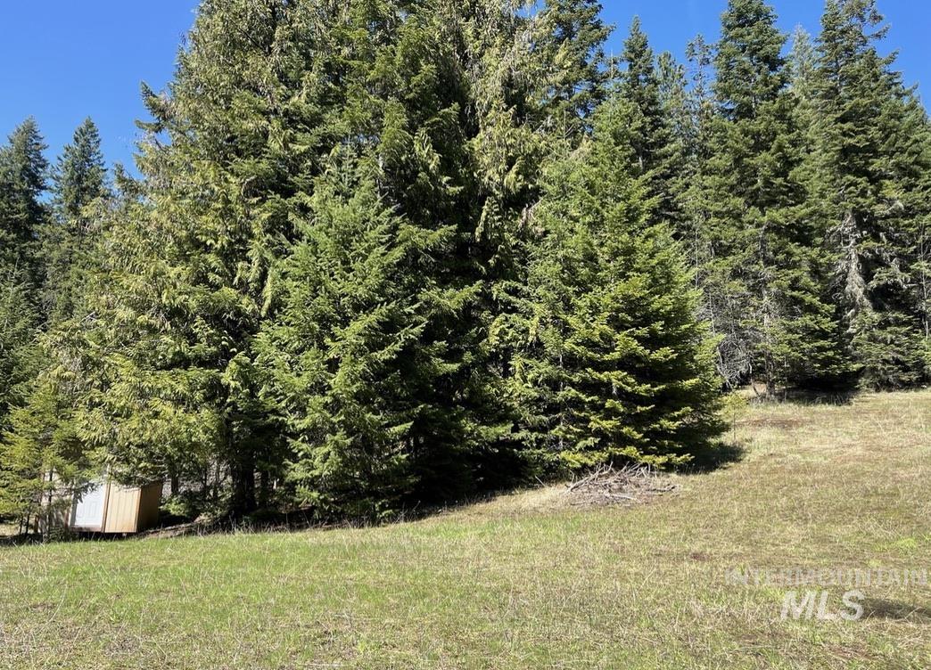 936 Red Fir Property Photo 13