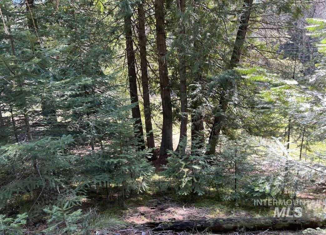 936 Red Fir Property Photo 14