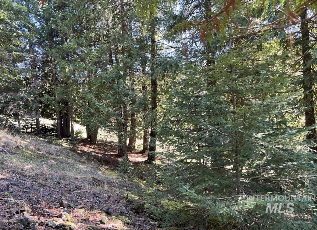 936 Red Fir Property Photo 15