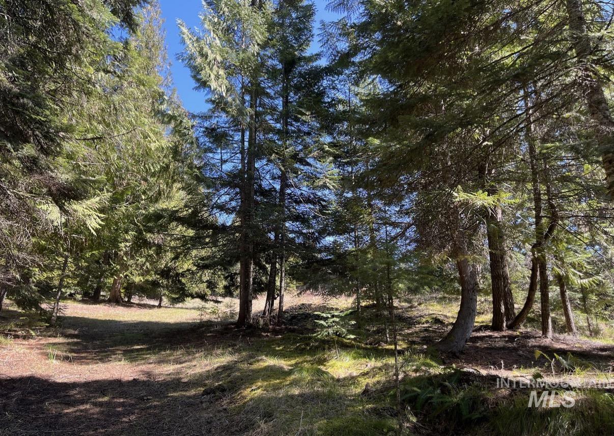936 Red Fir Property Photo 17