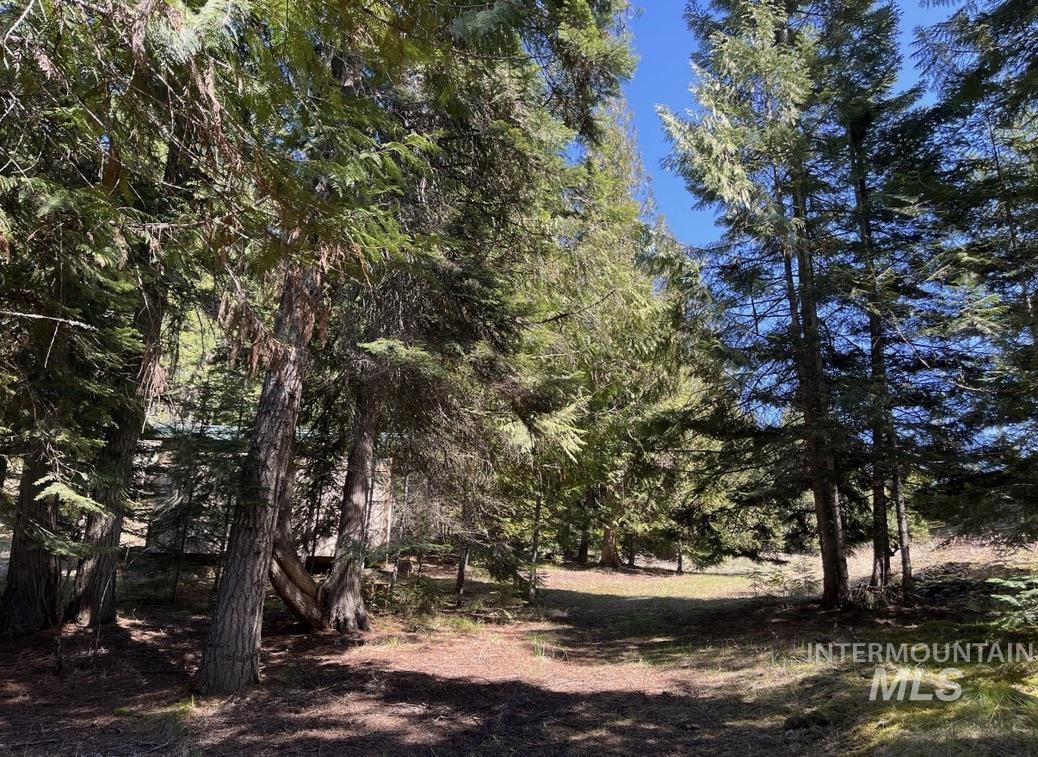936 Red Fir Property Photo 18