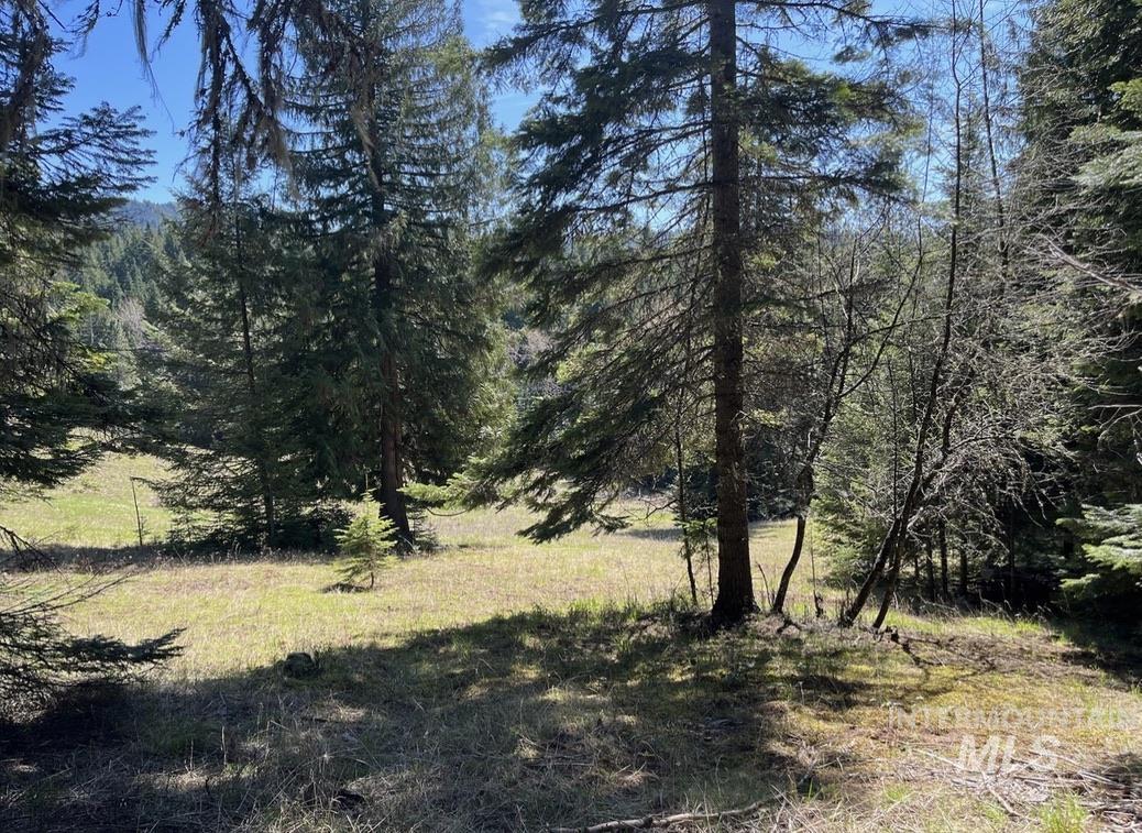 936 Red Fir Property Photo 21
