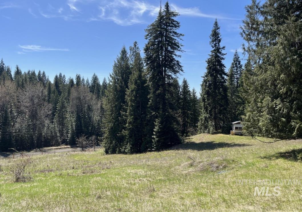 936 Red Fir Property Photo 25