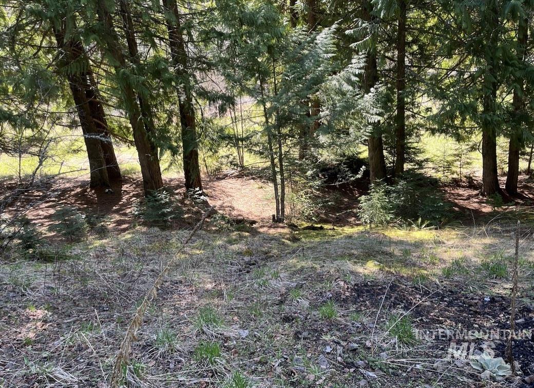 936 Red Fir Property Photo 26