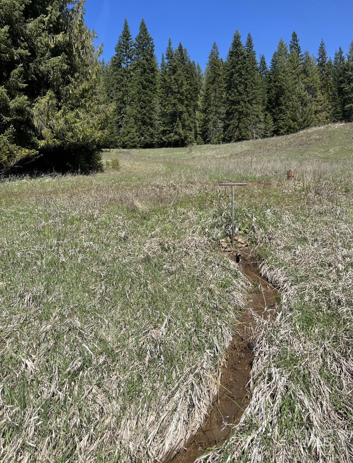 936 Red Fir Property Photo 29