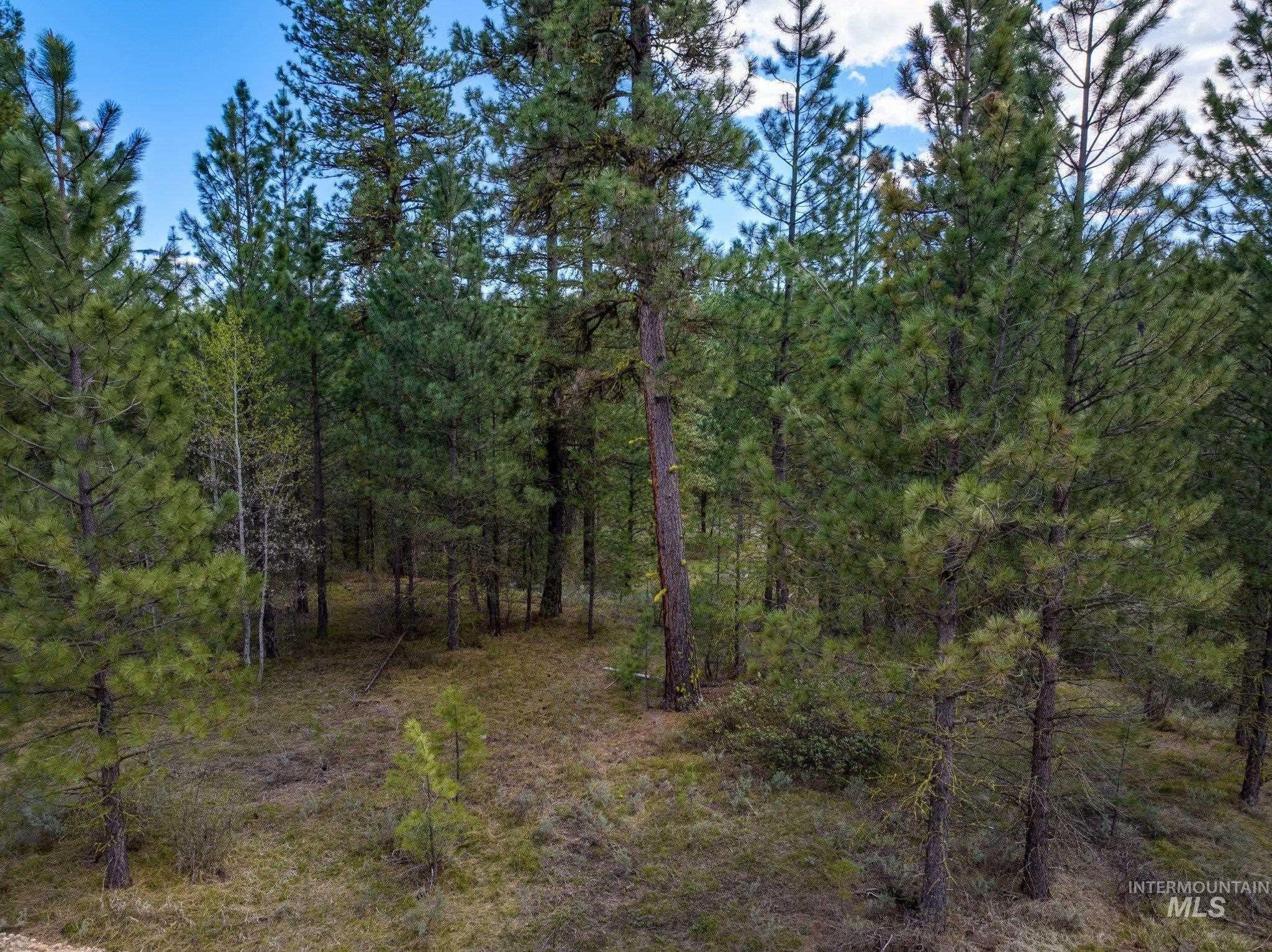 Lot 8 Star Creek Ct Property Photo 7