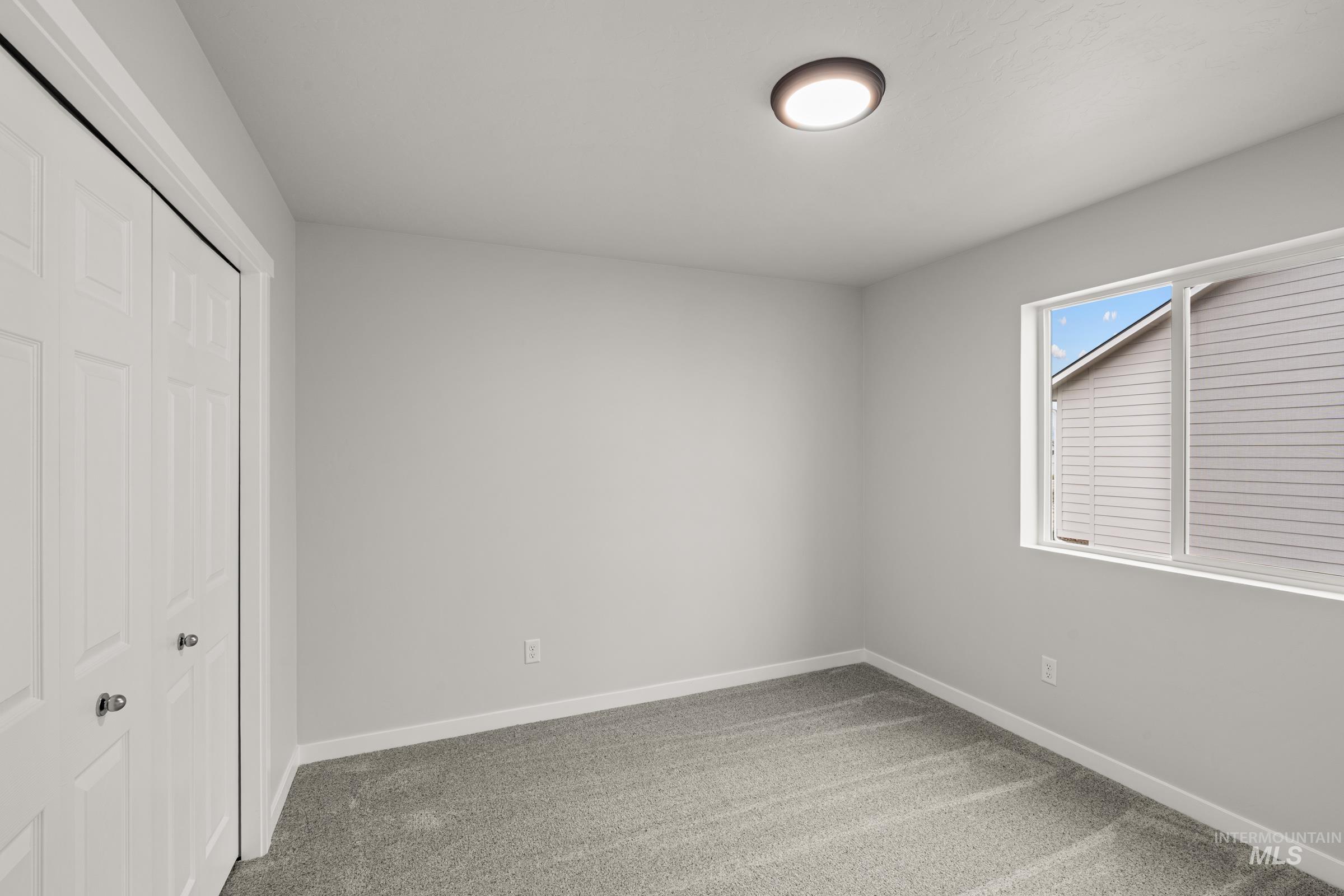 1669 Dyer St Property Photo 18