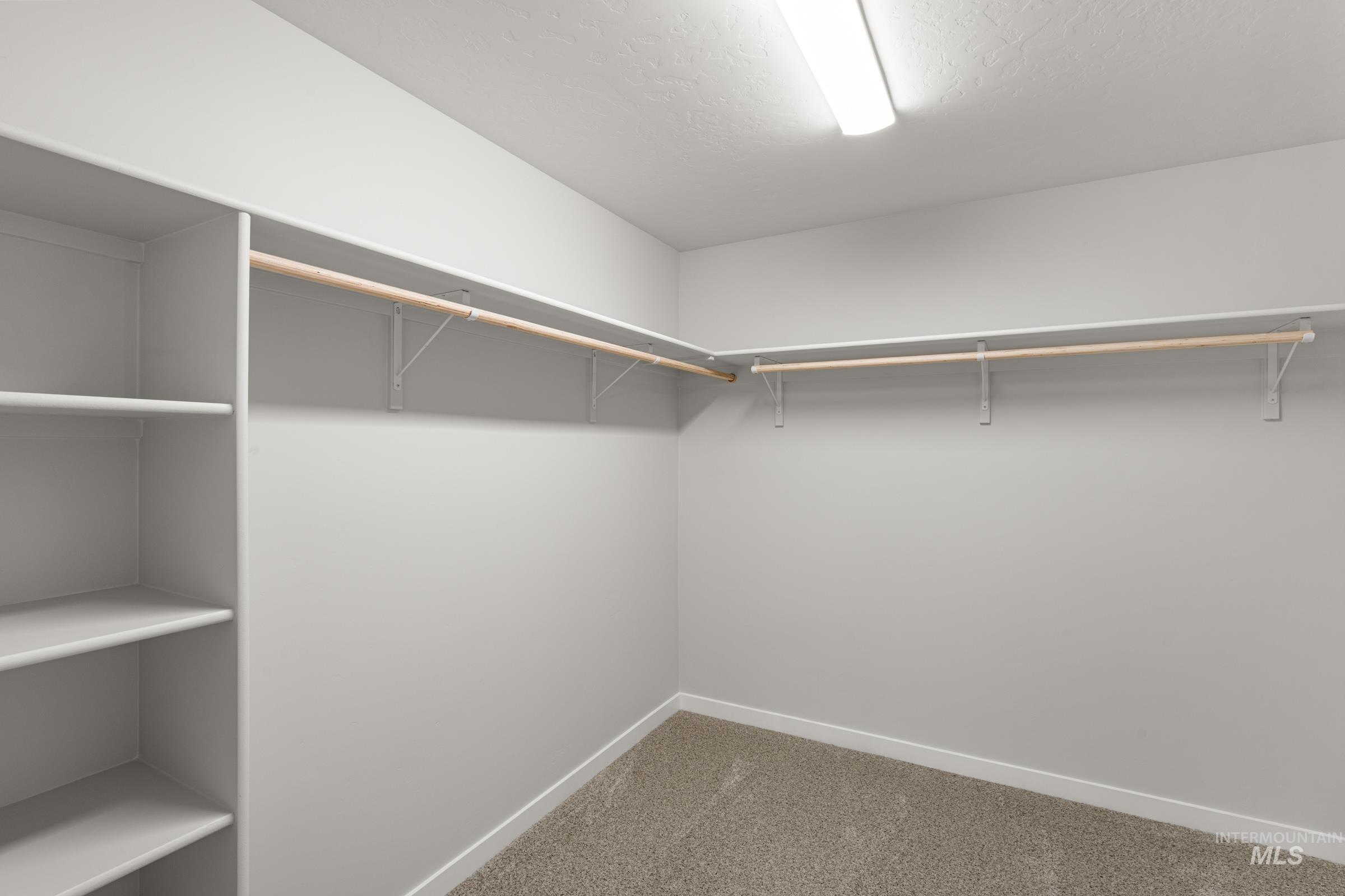 1669 Dyer St Property Photo 21