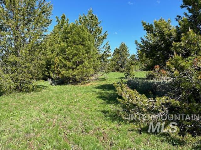969 Valley View Dr Property Photo 12