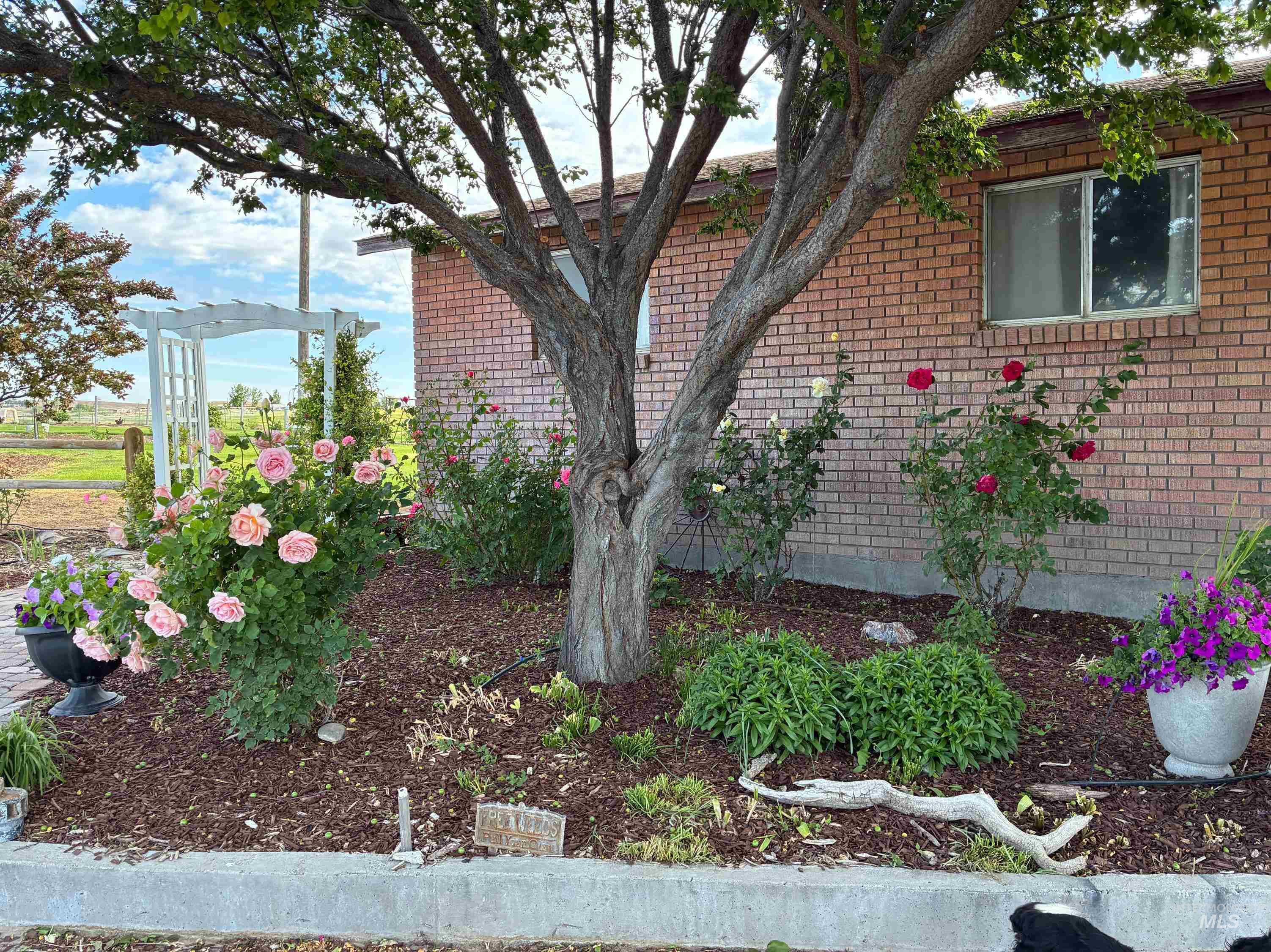 3850 Greenfield Road Property Photo 35