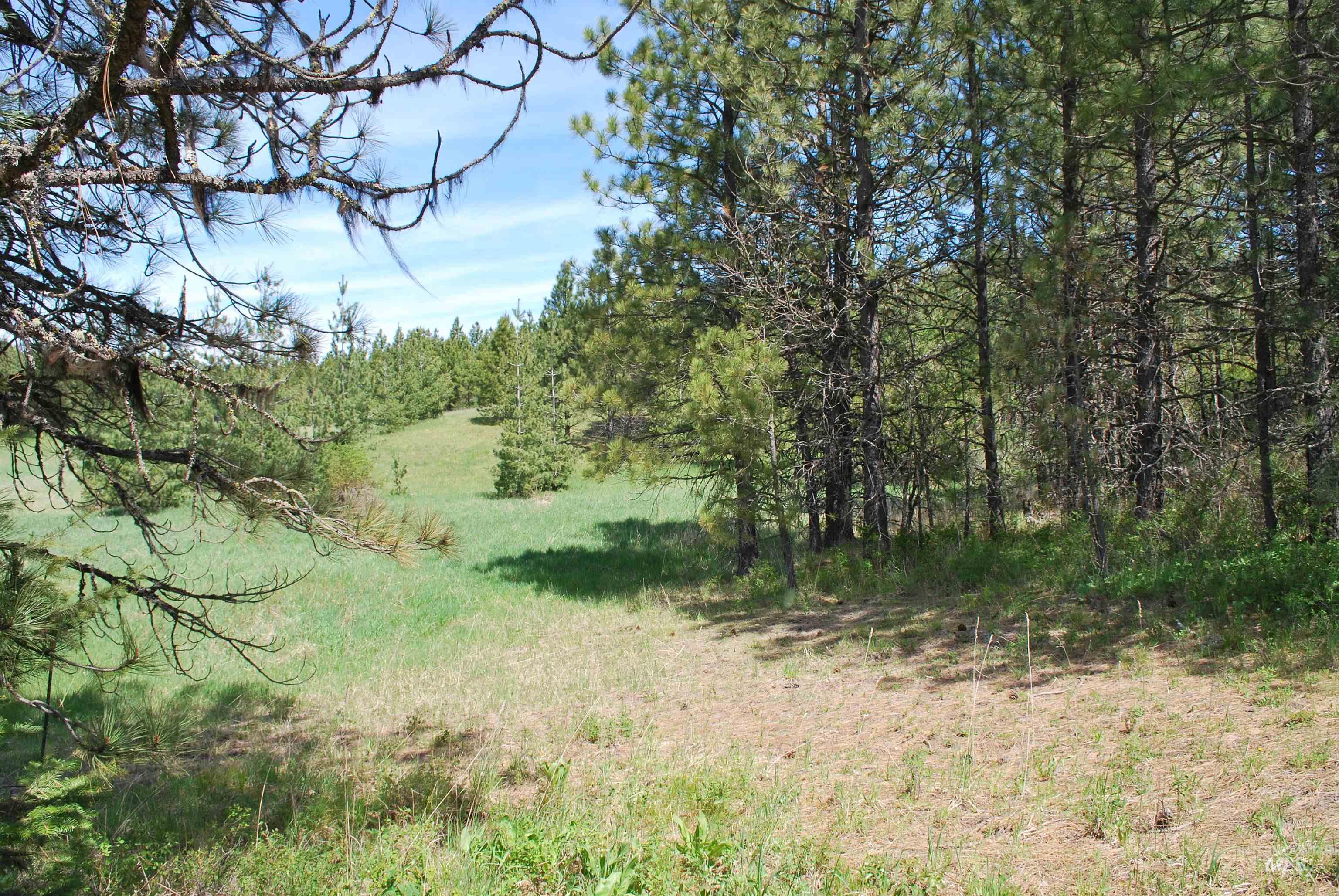 4975 Middle Road Property Photo 23