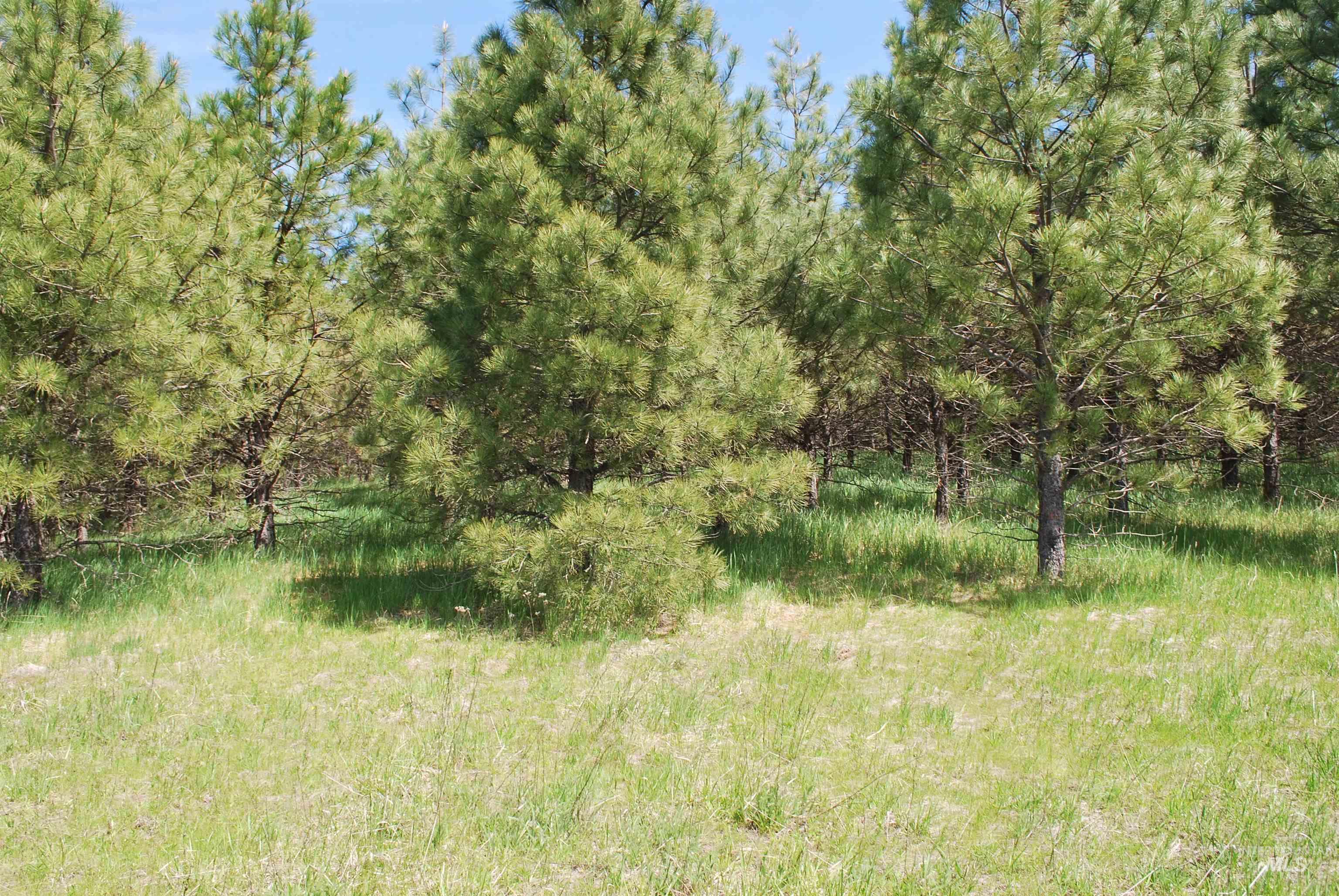 4975 Middle Road Property Photo 24