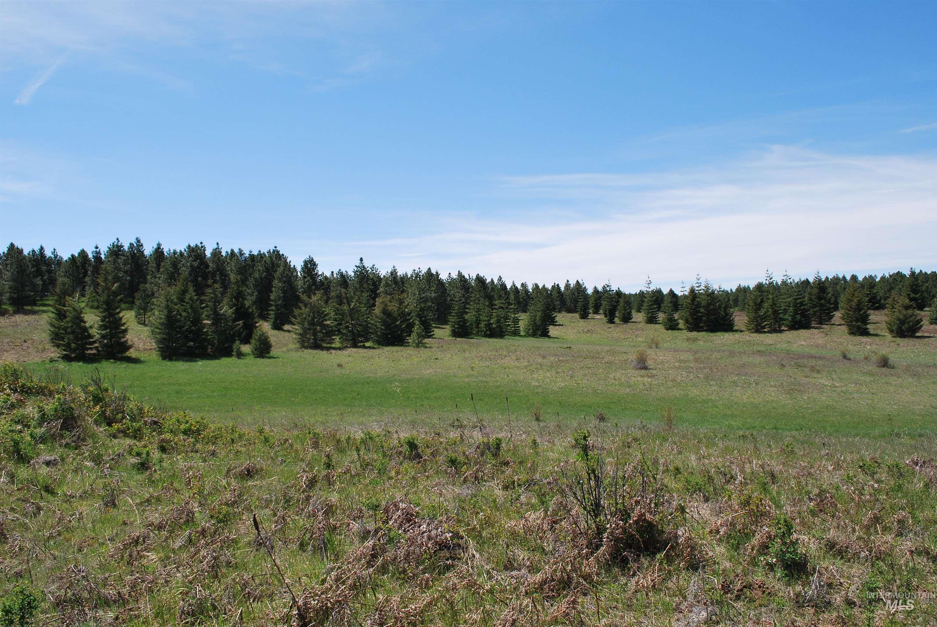 4975 Middle Road Property Photo 26