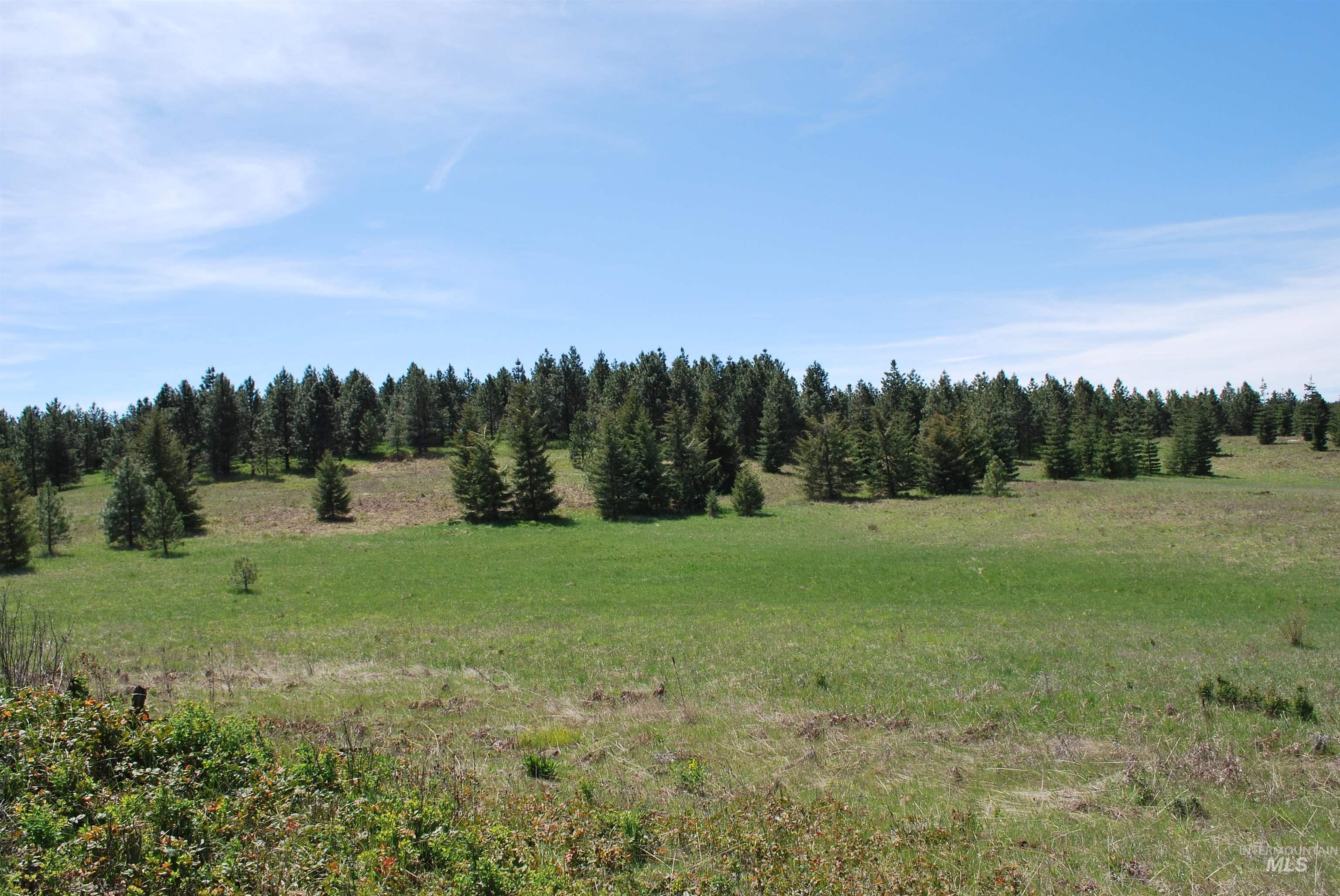 4975 Middle Road Property Photo 27
