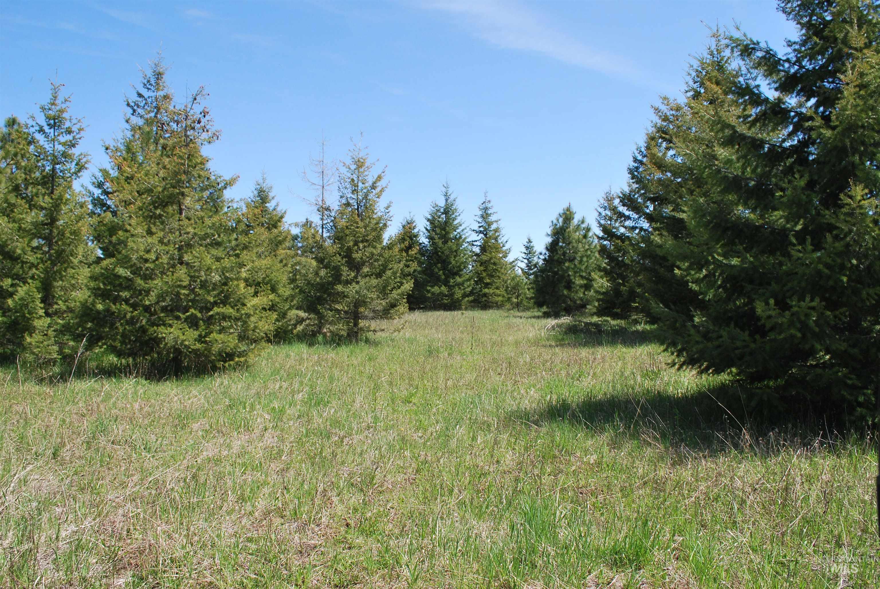 4975 Middle Road Property Photo 29