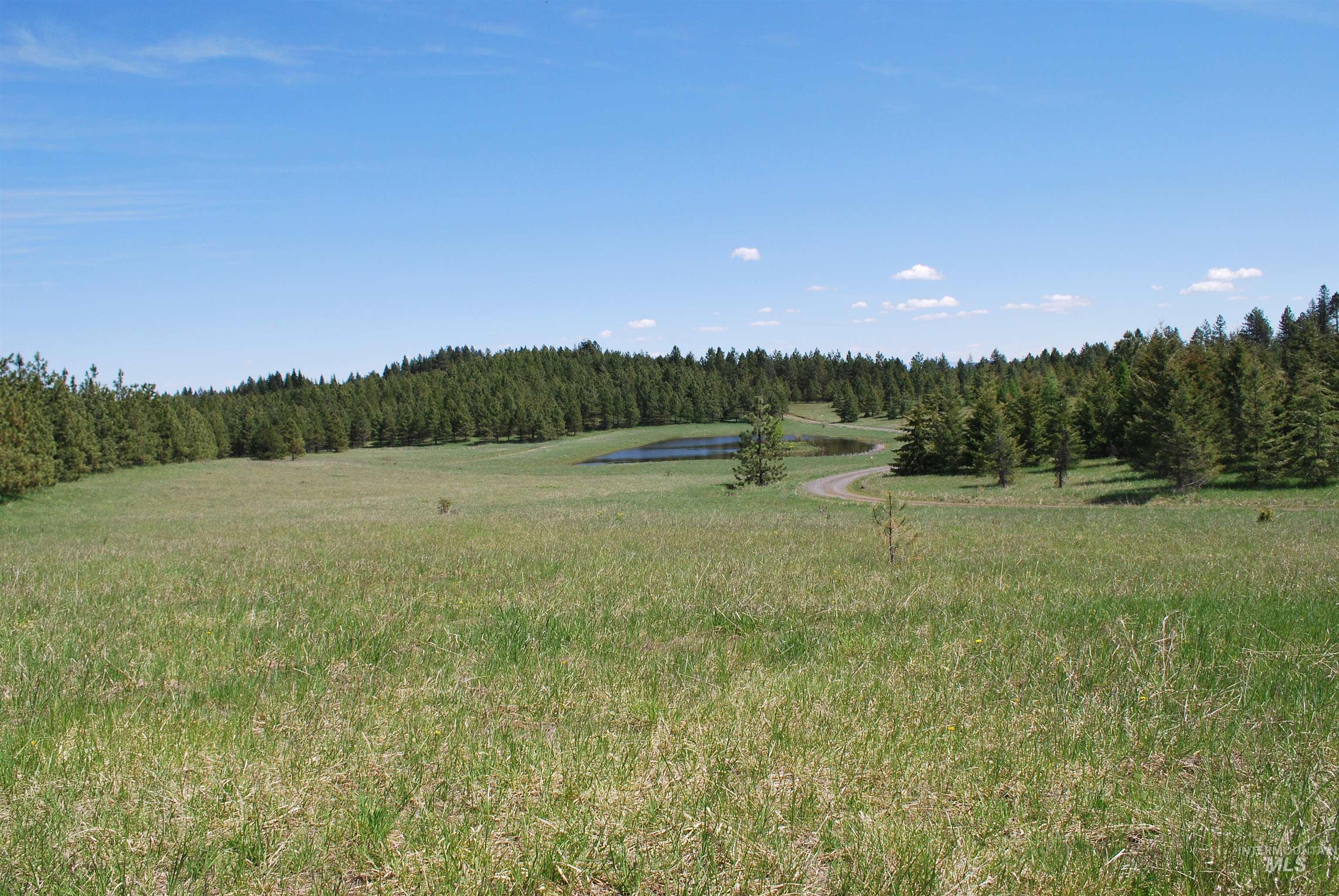 4975 Middle Road Property Photo 31