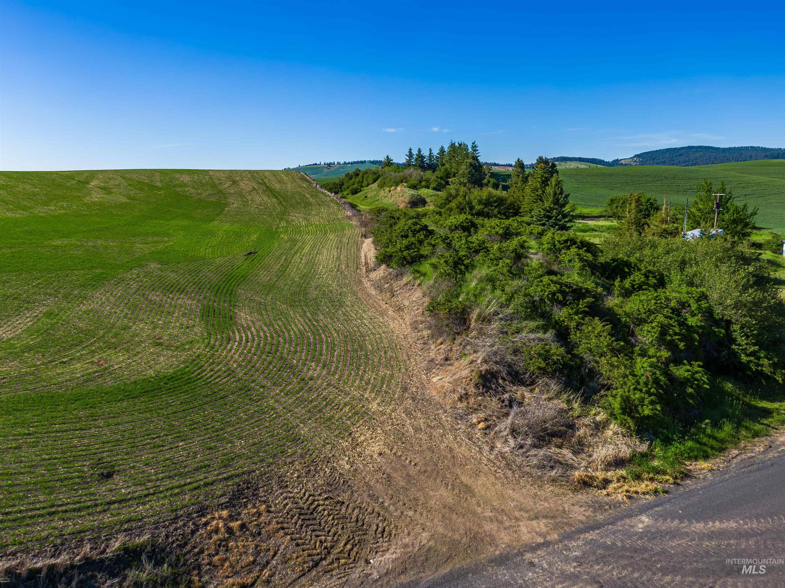 Tbd/000 Mix Road Property Photo 21