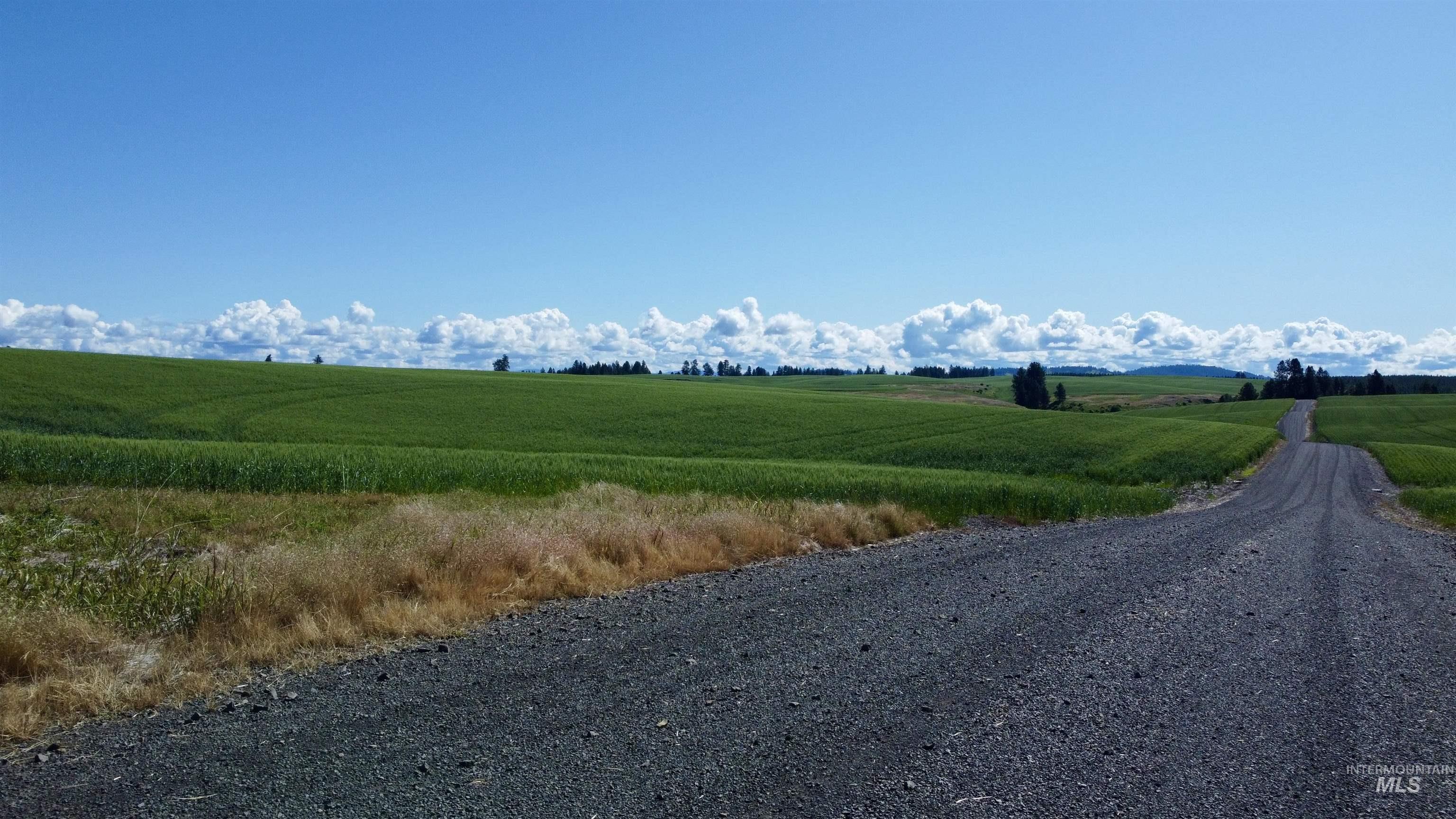 Tbd Basket Rd Parcel 2 Property Photo 5