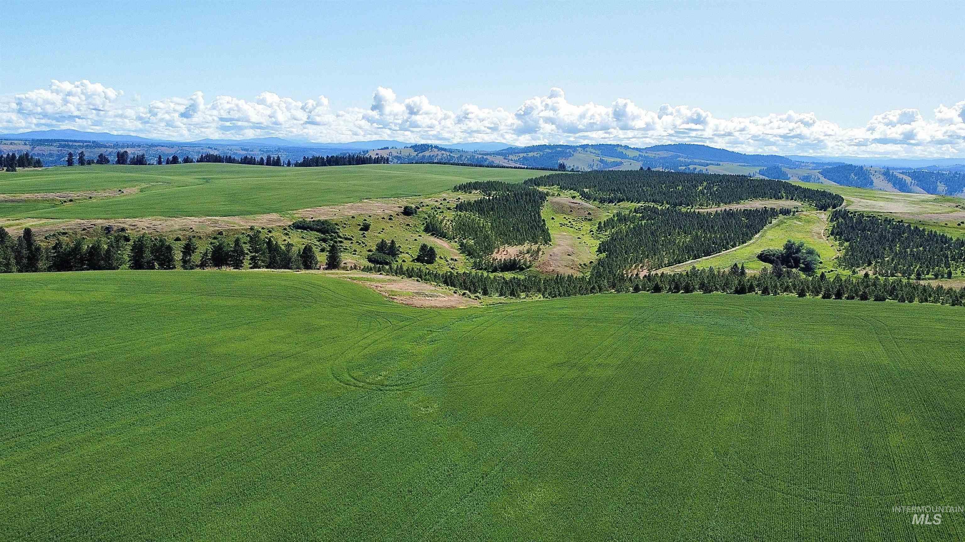 Tbd Basket Rd Property Photo 4