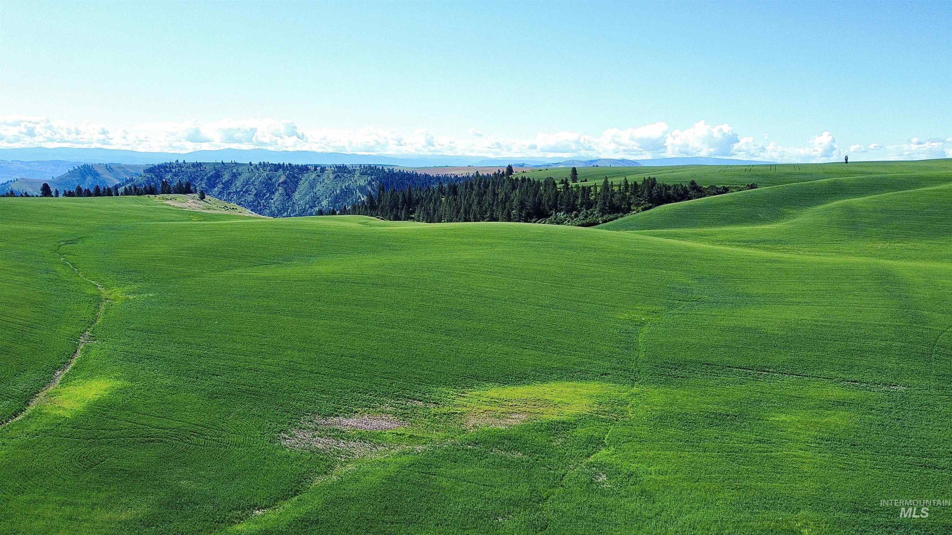 Tbd Basket Rd Property Photo 8
