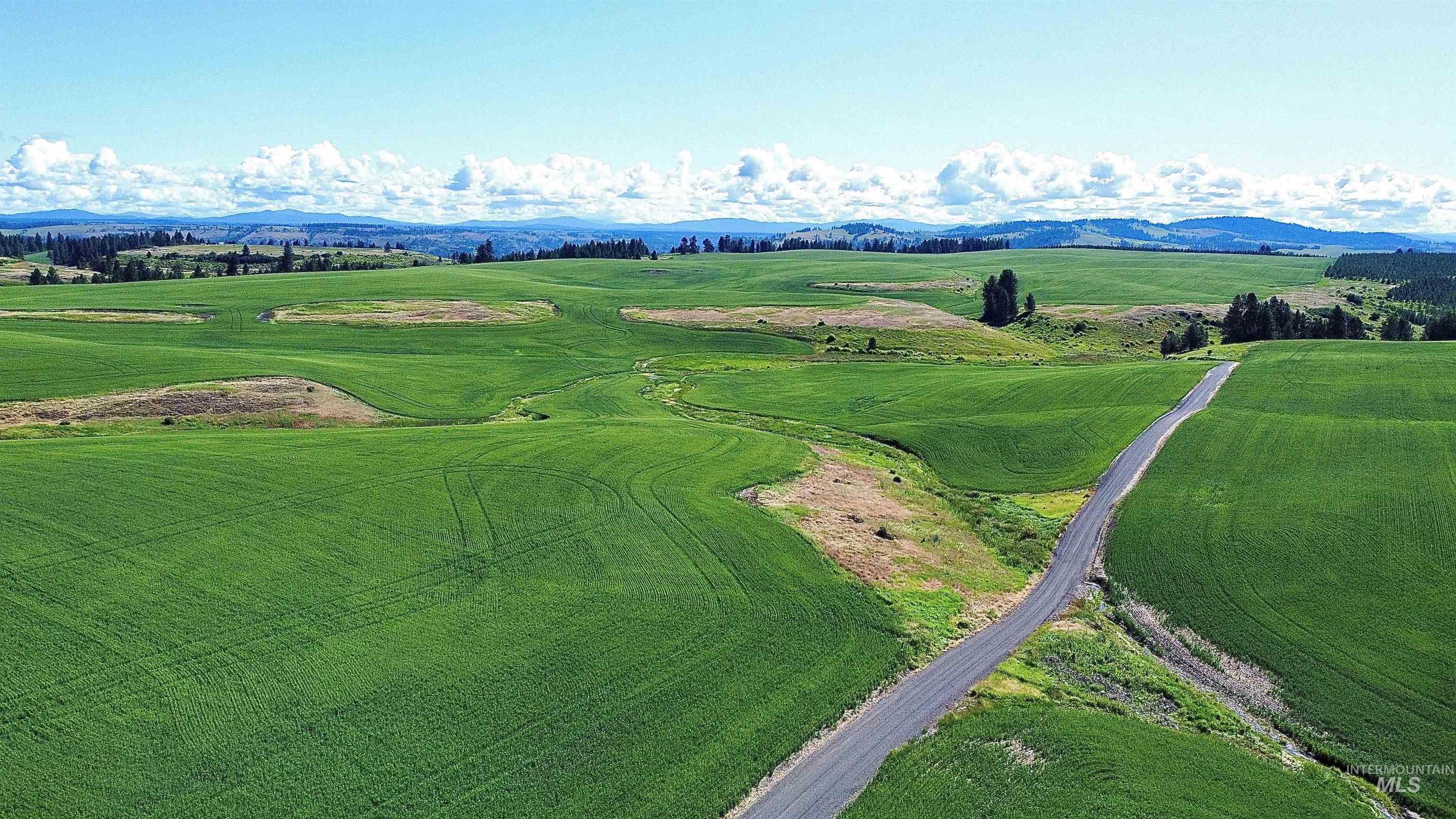 Tbd Basket Rd Property Photo 9