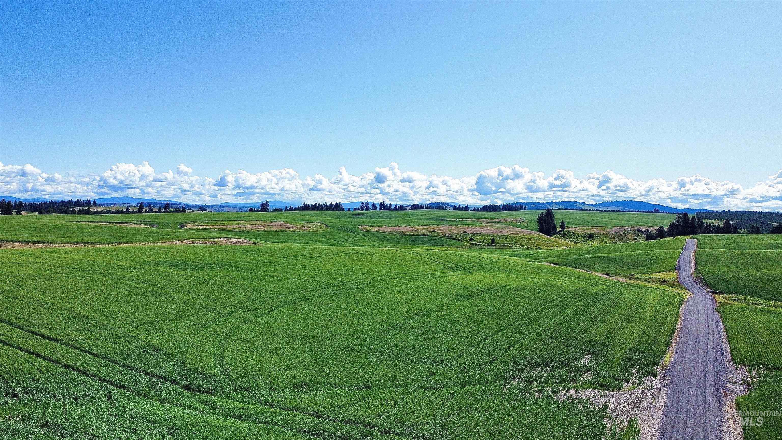 Tbd Basket Rd Property Photo 12