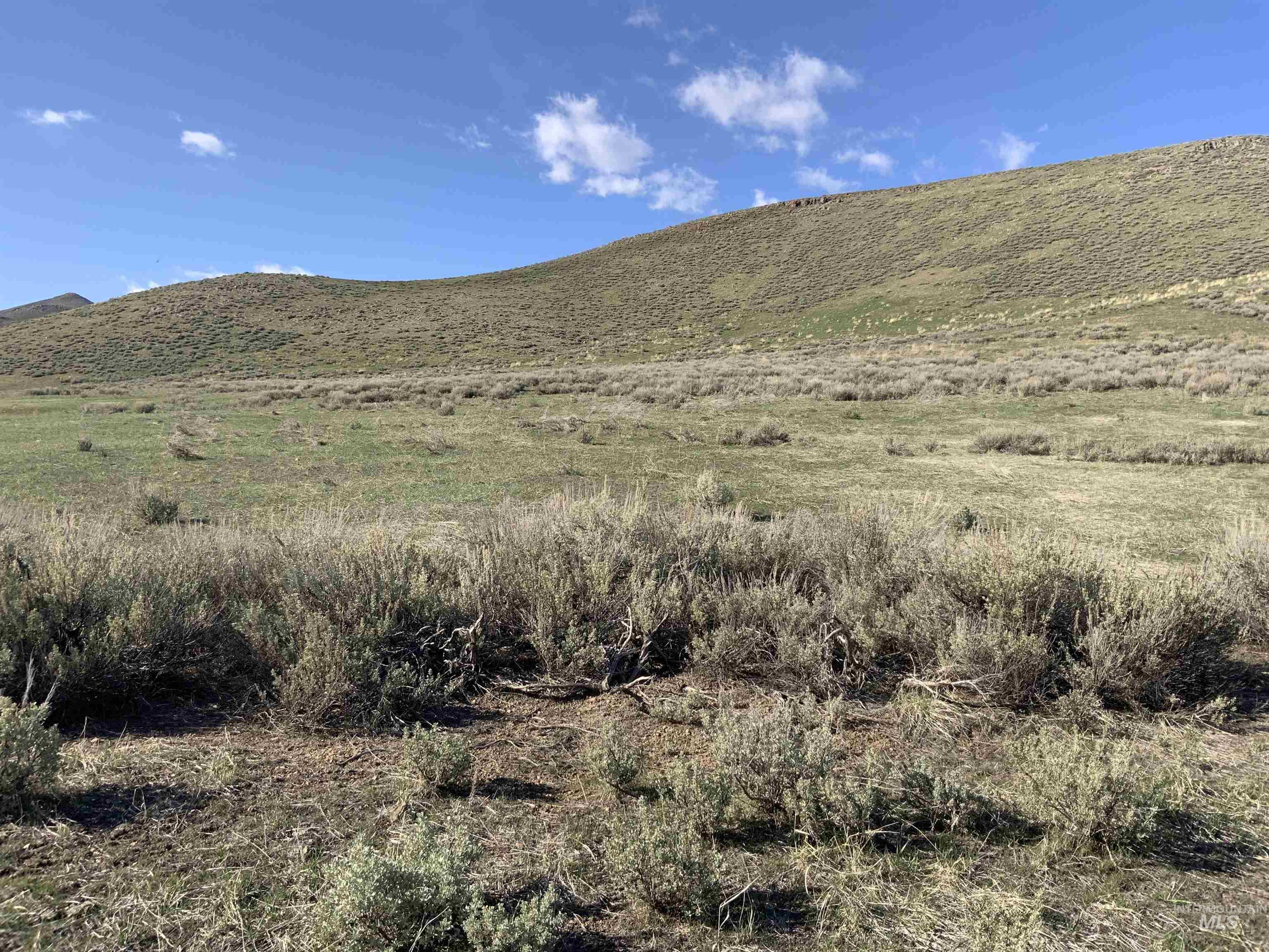 Lot 1 Tobia Sub Property Photo 6