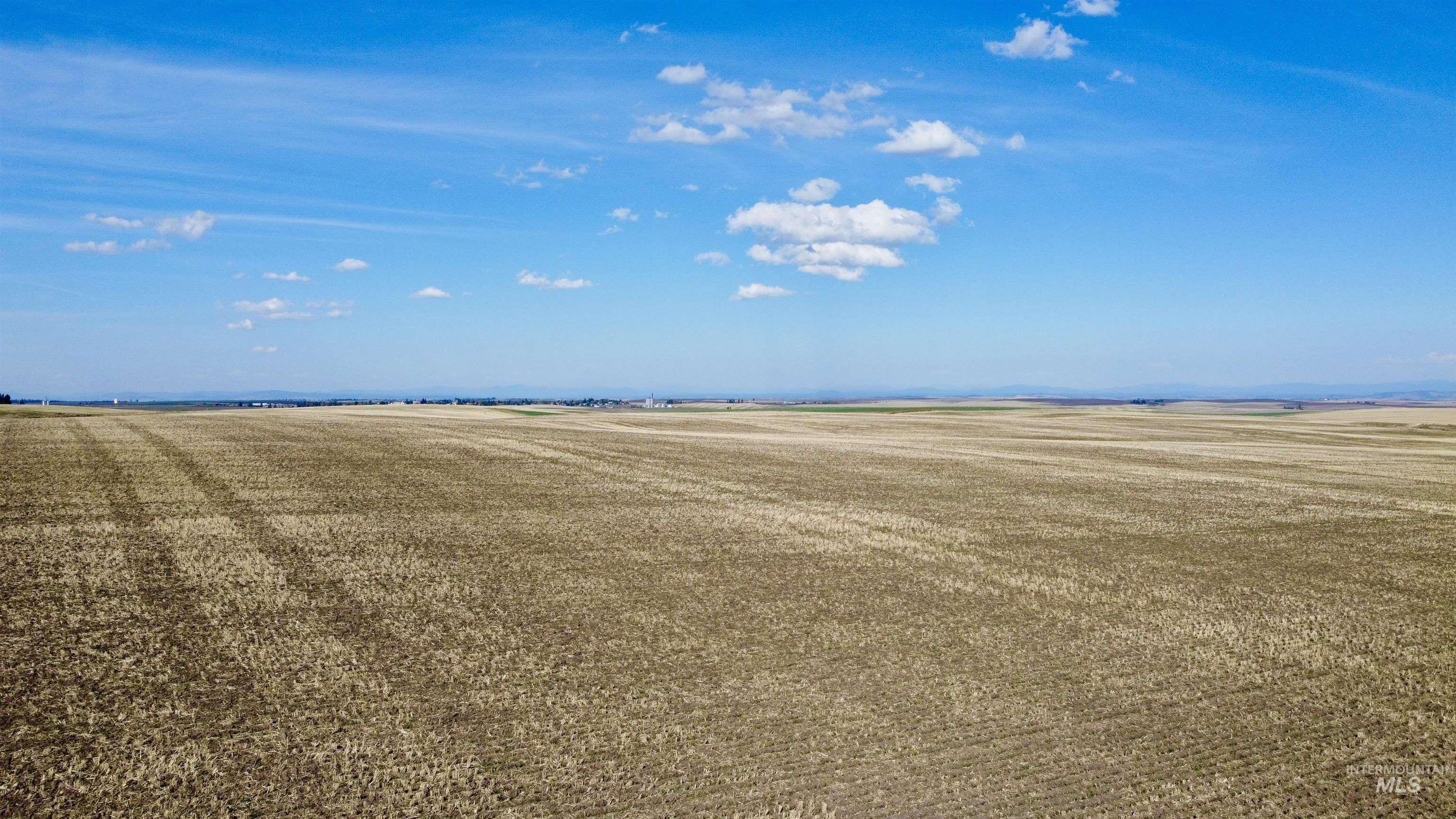 Tbd Westlake Rd (80ac) Property Photo 1