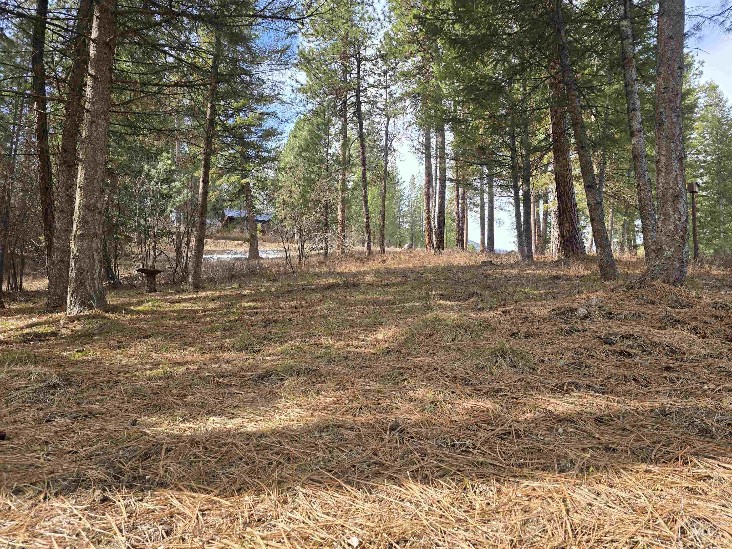 Tbd Ranch Rd Property Photo 1