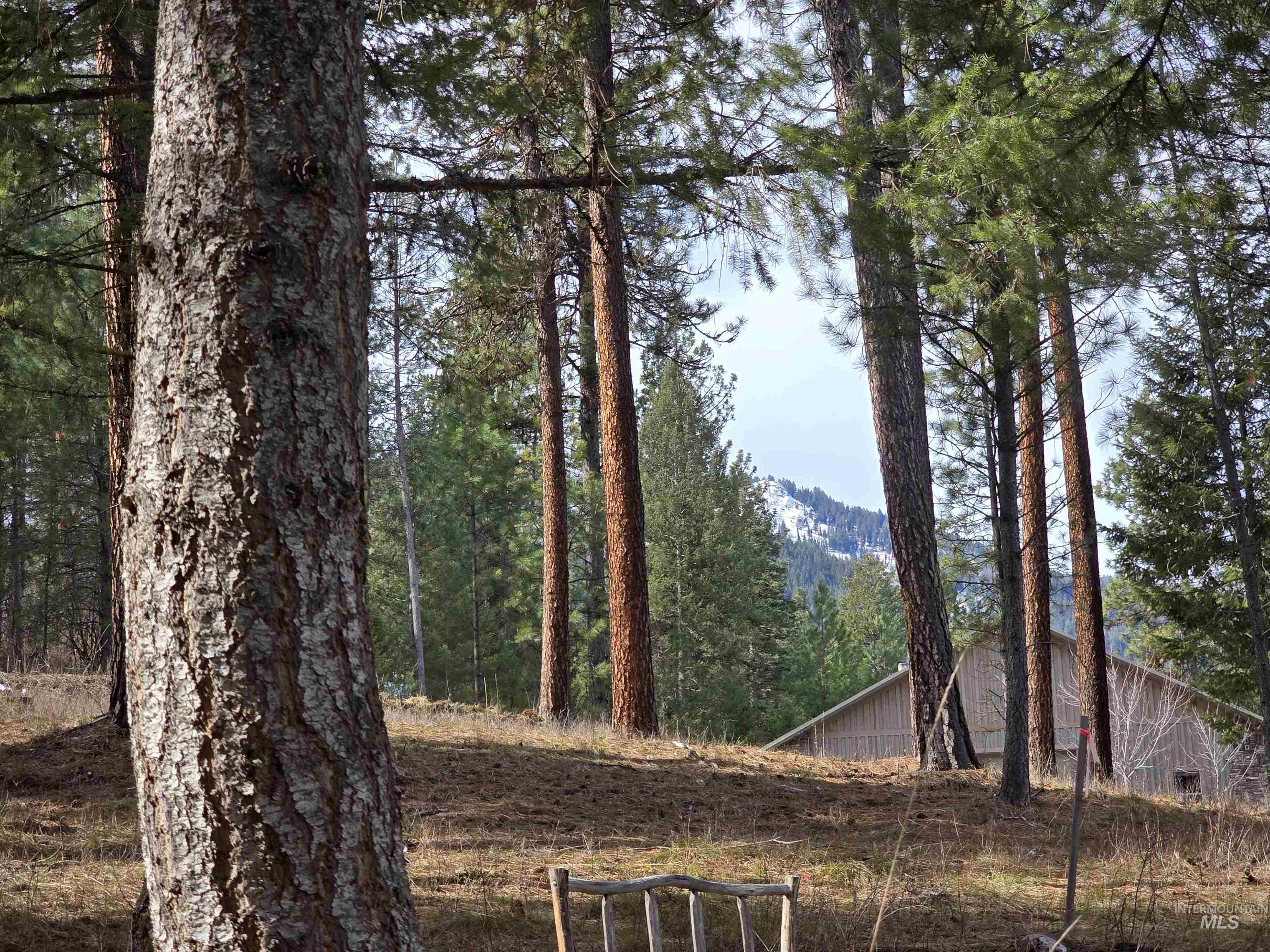 Tbd Ranch Rd Property Photo 3
