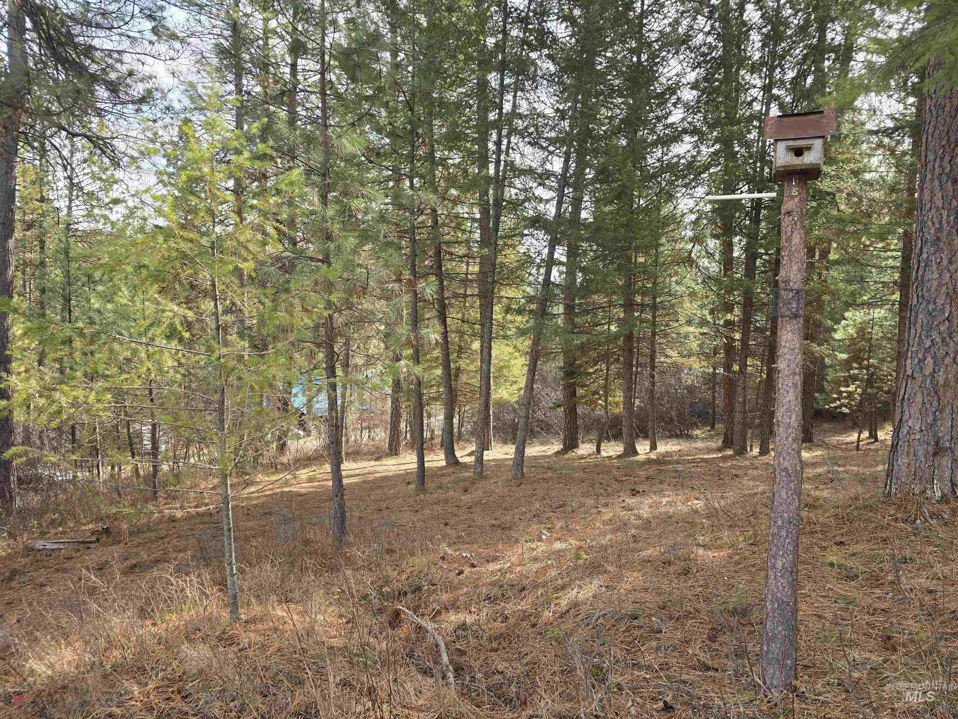 Tbd Ranch Rd Property Photo 4