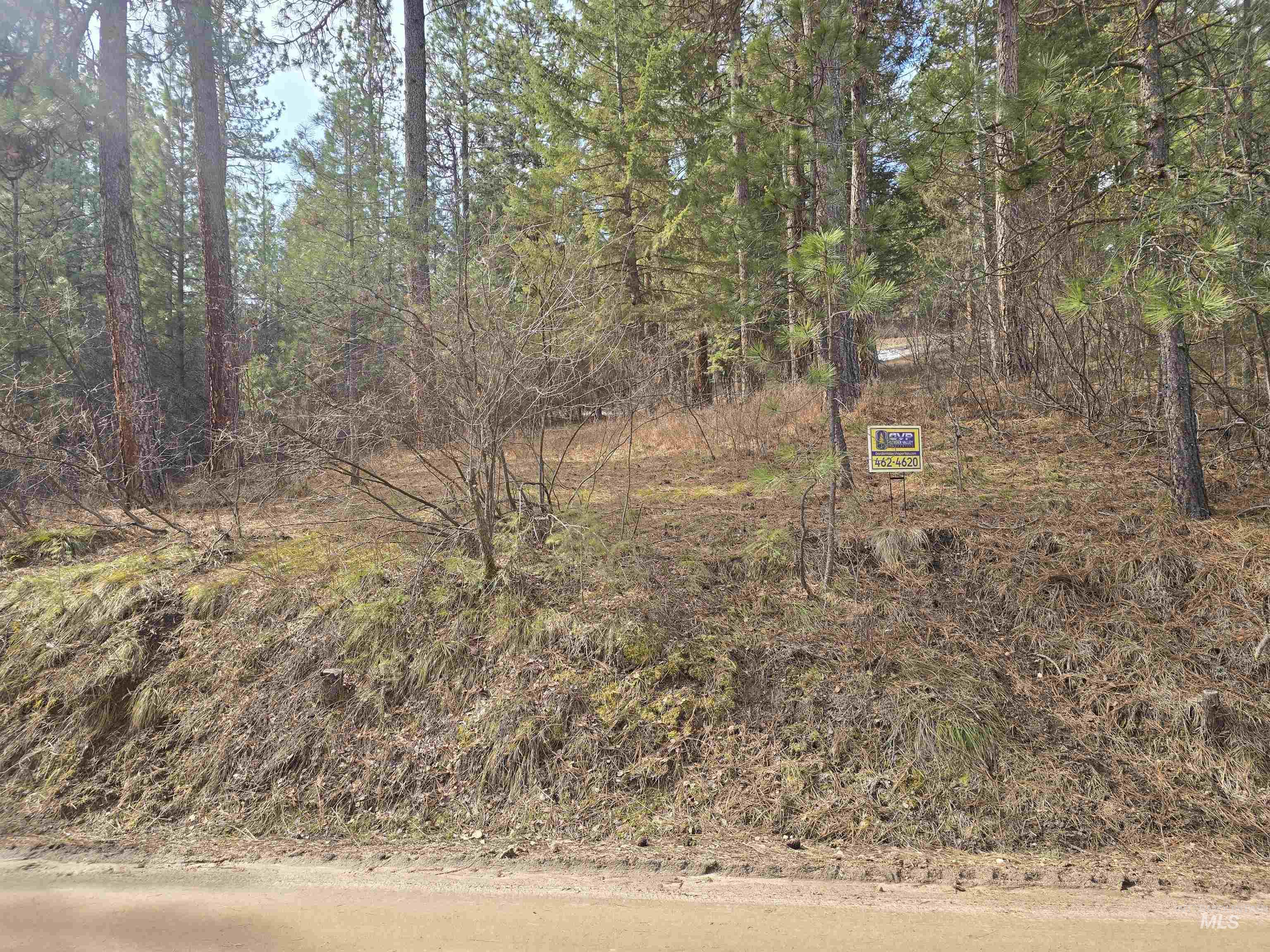 Tbd Ranch Rd Property Photo 5