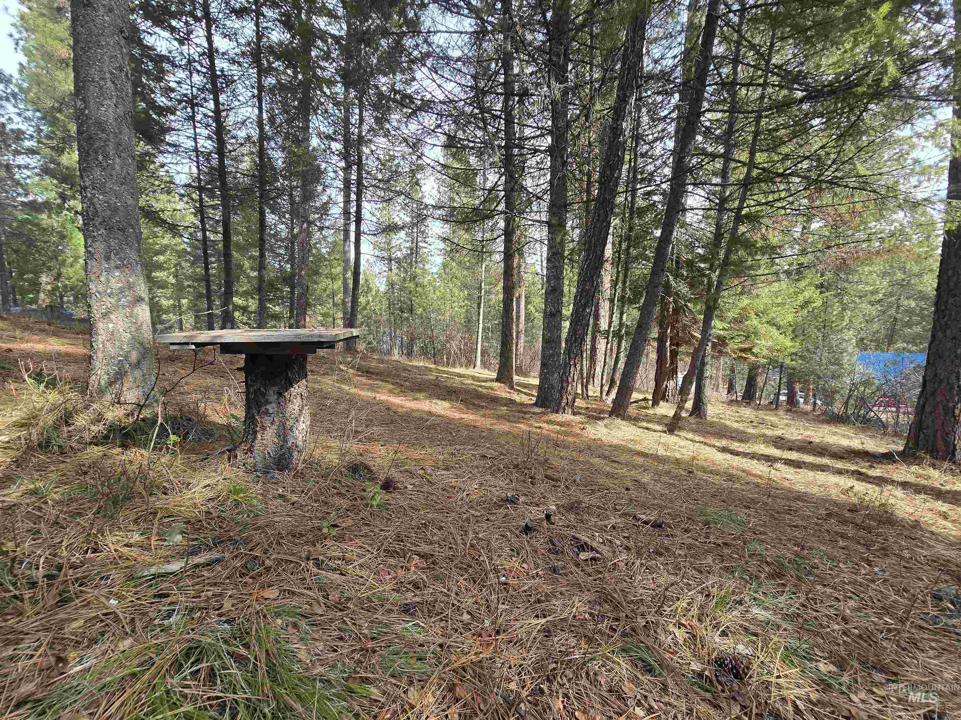 Tbd Ranch Rd Property Photo 6