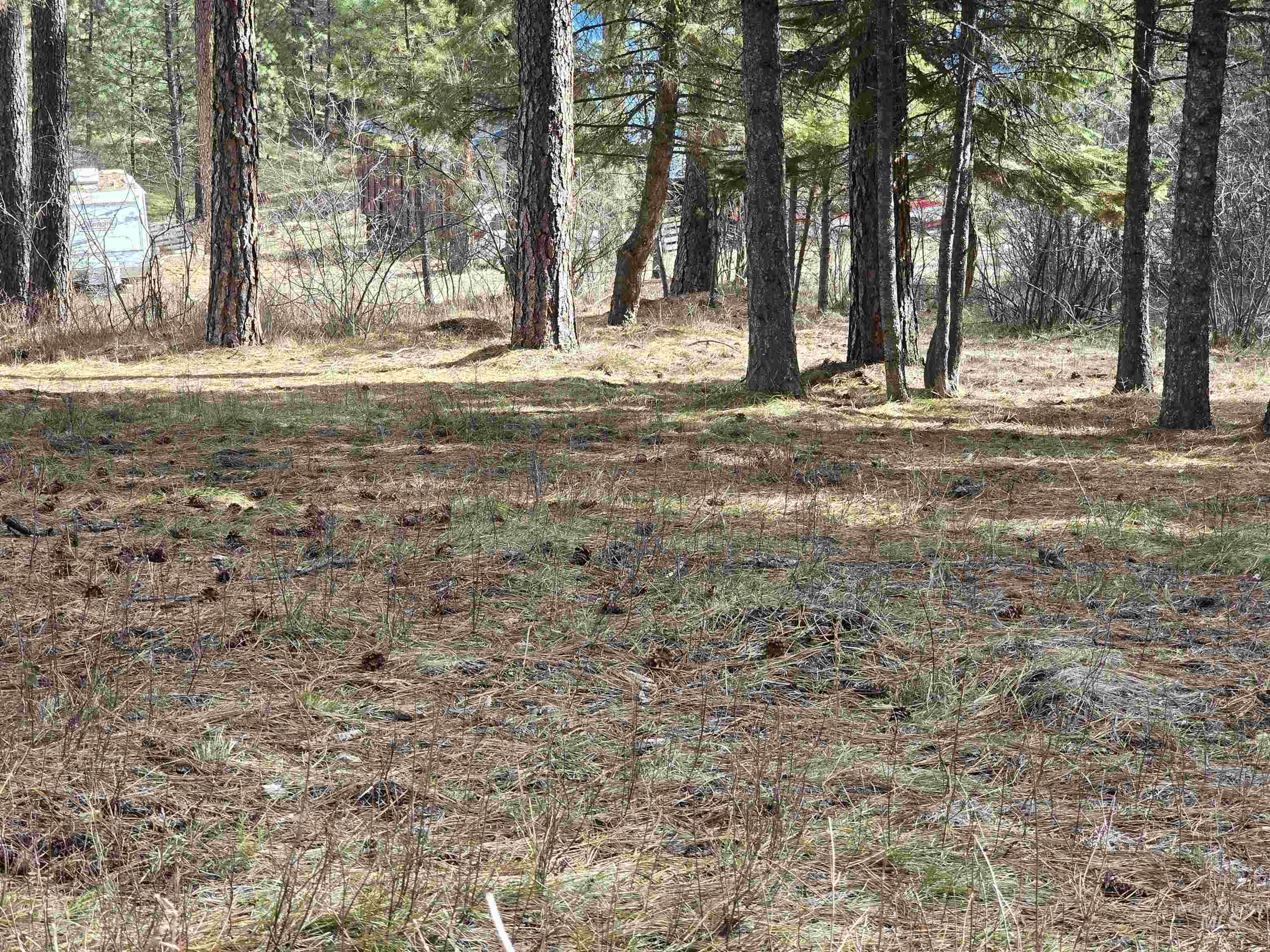 Tbd Ranch Rd Property Photo 7