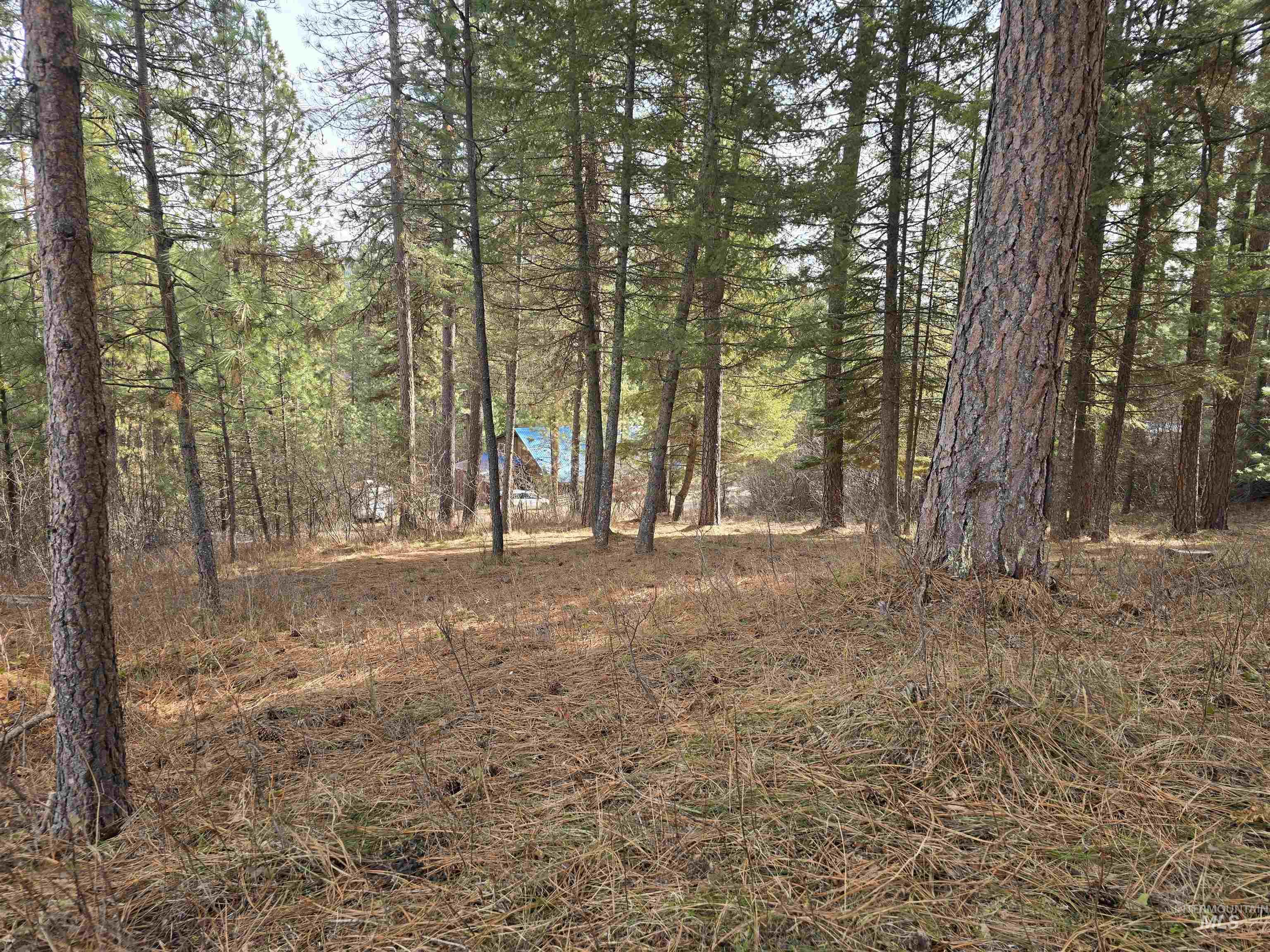 Tbd Ranch Rd Property Photo 8