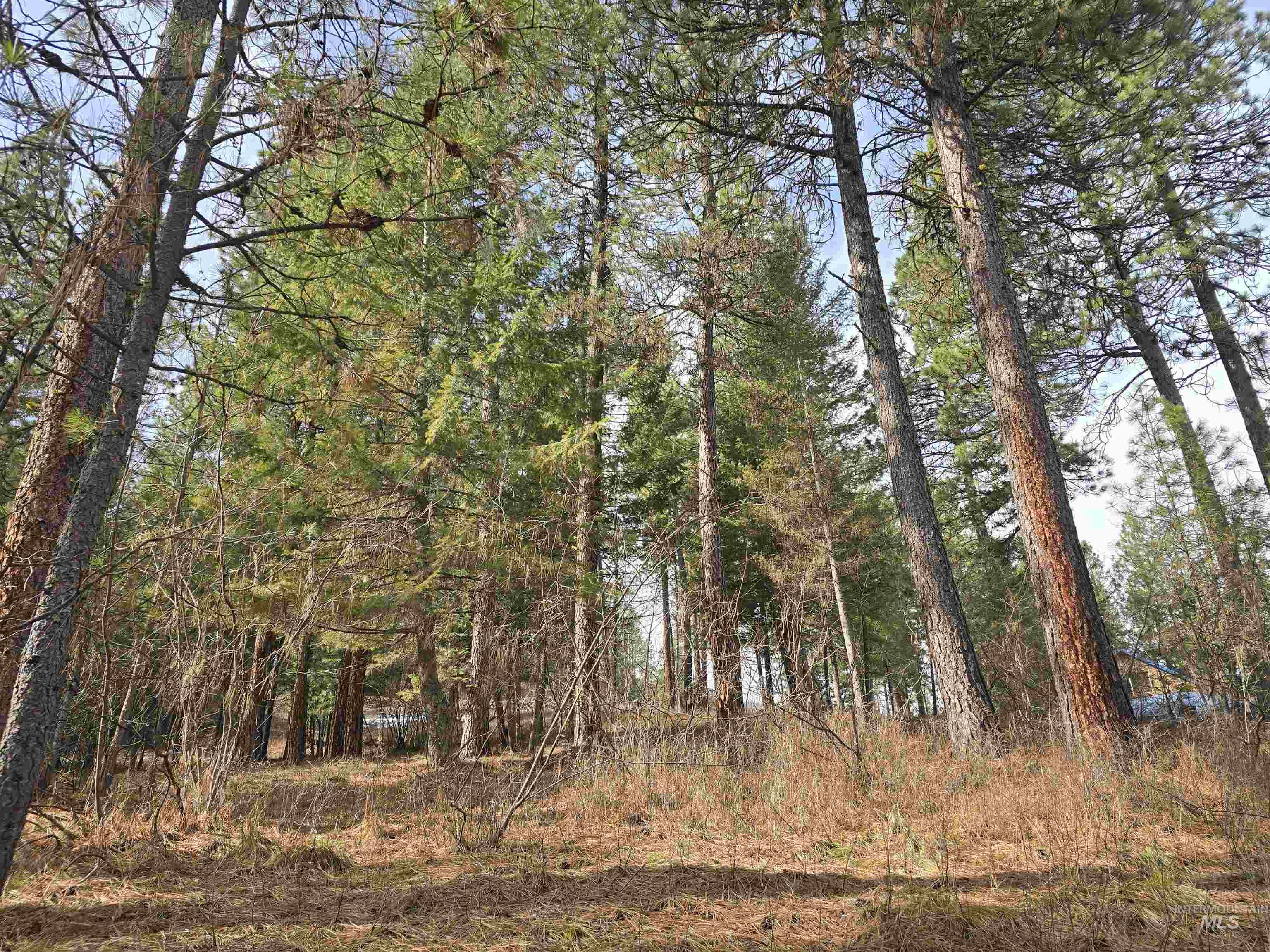Tbd Ranch Rd Property Photo 9