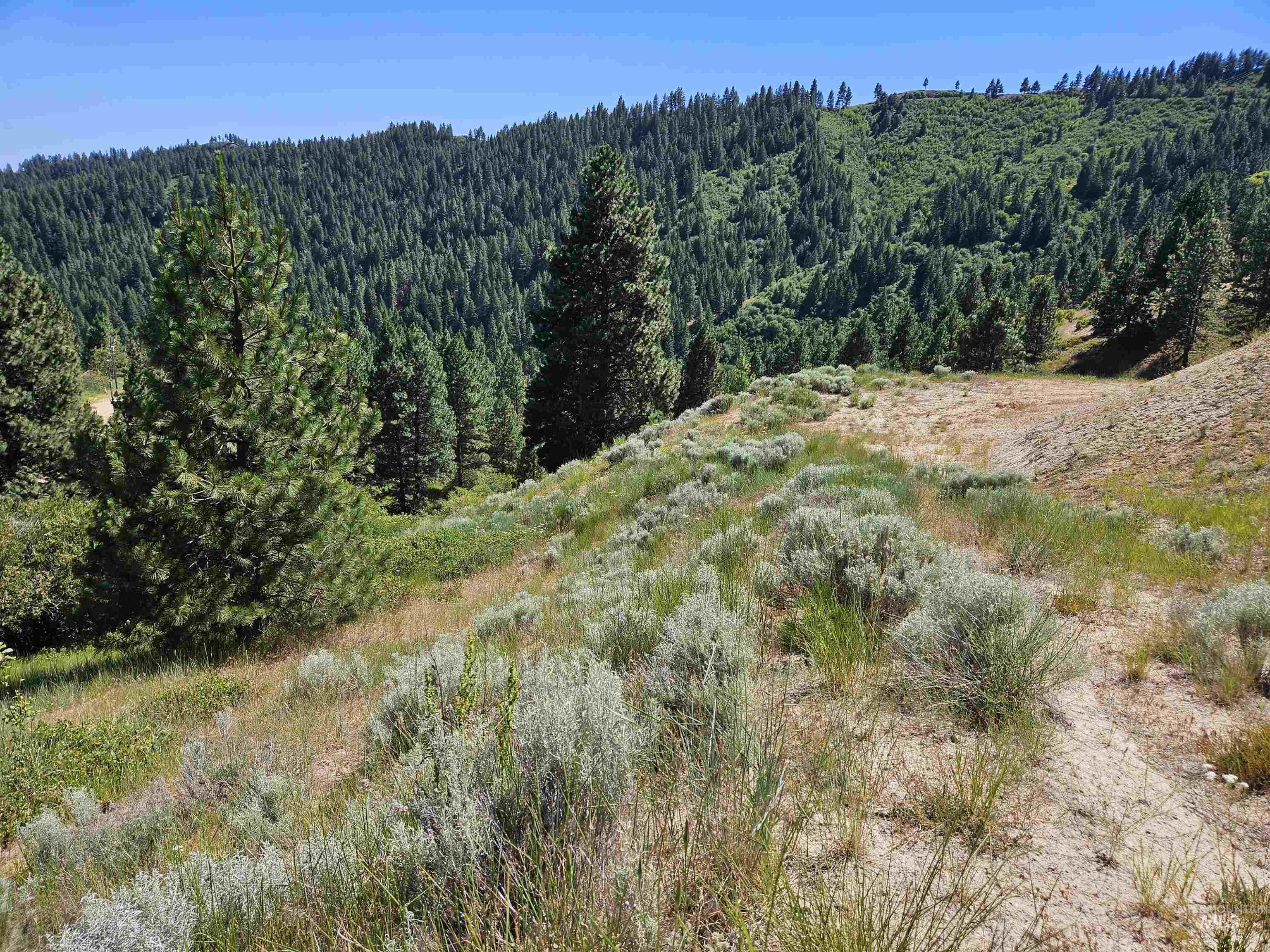 Lot 64 Wilderness Way Property Photo 3