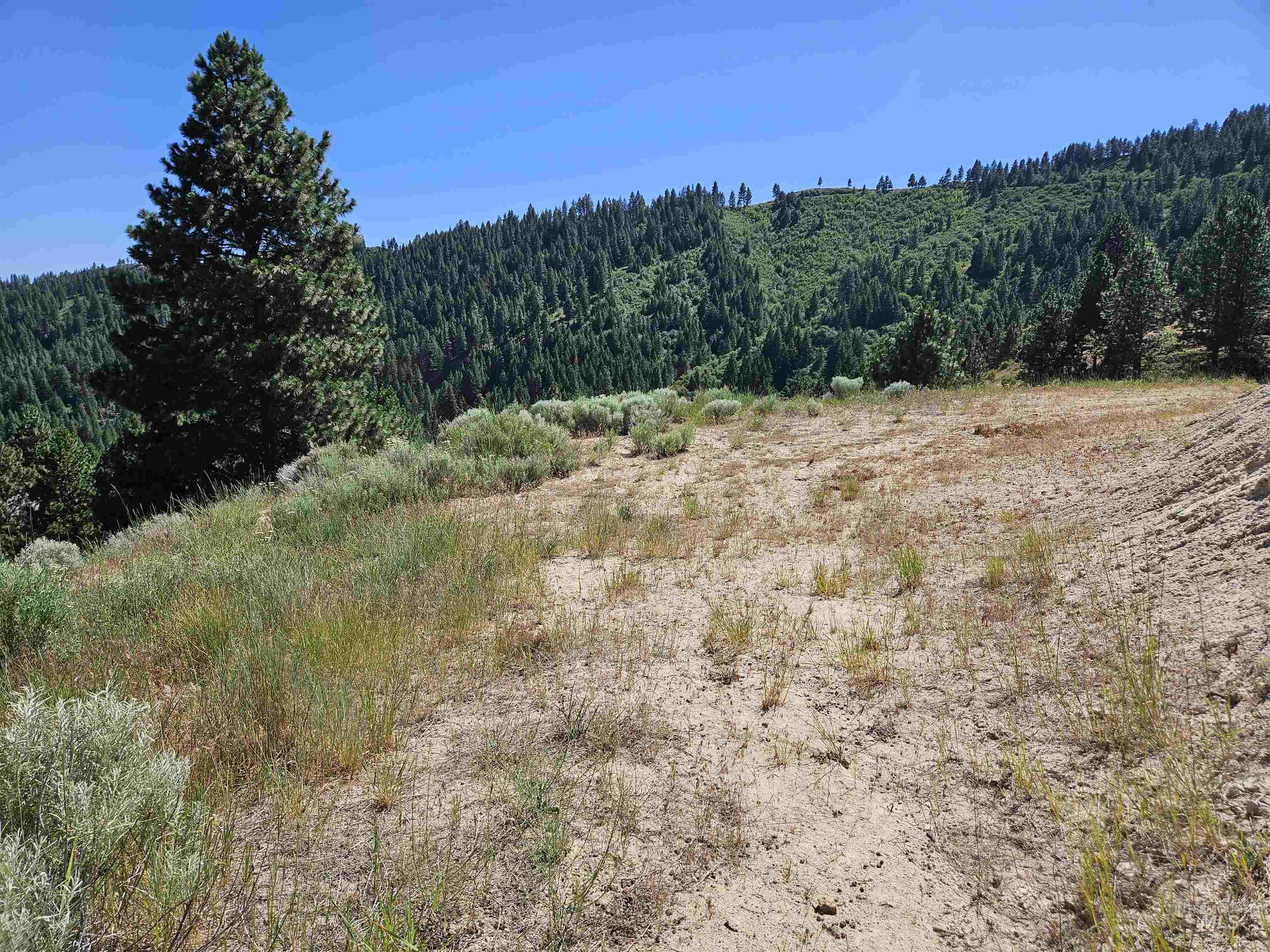 Lot 64 Wilderness Way Property Photo 4