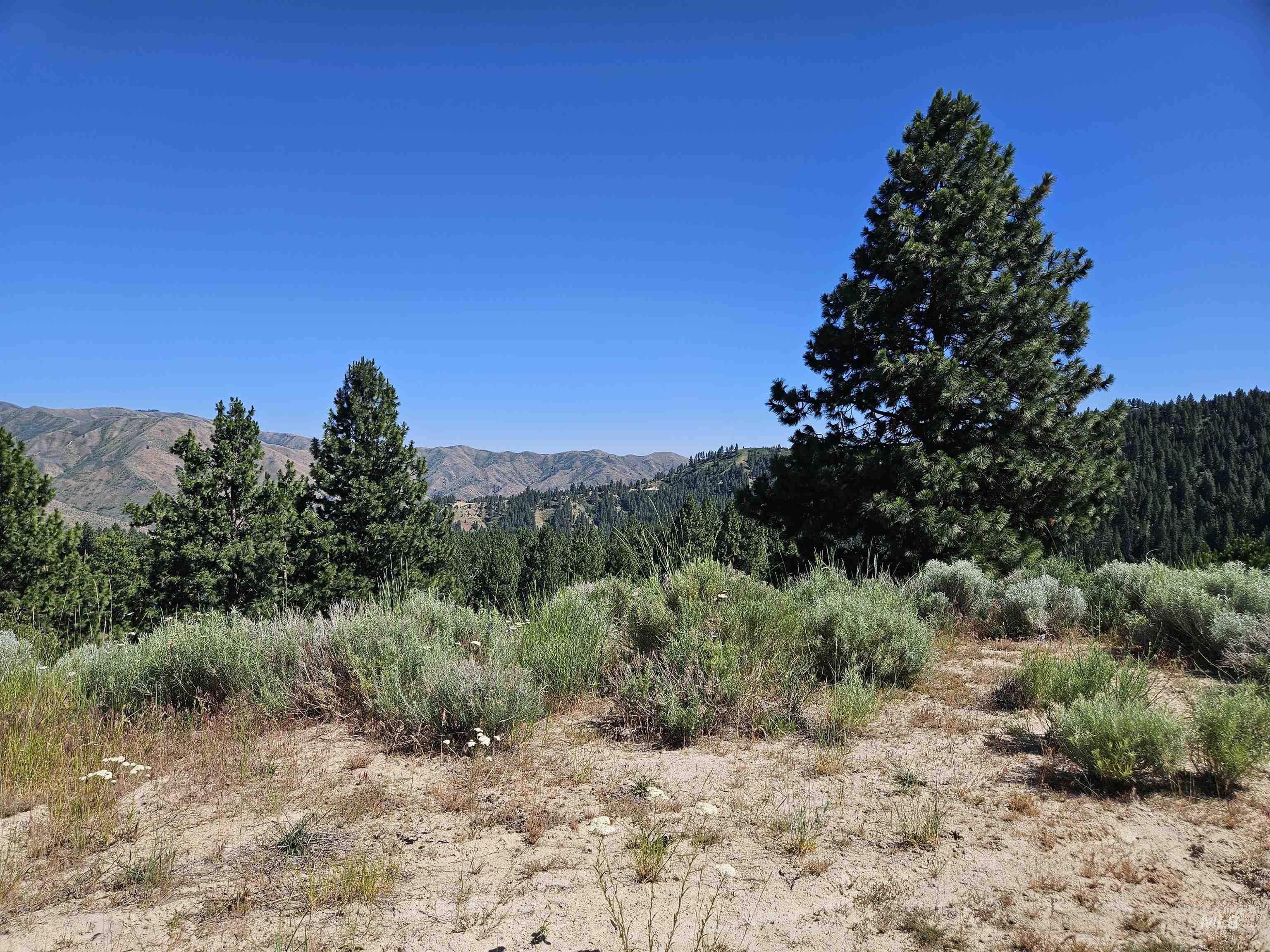 Lot 64 Wilderness Way Property Photo 5