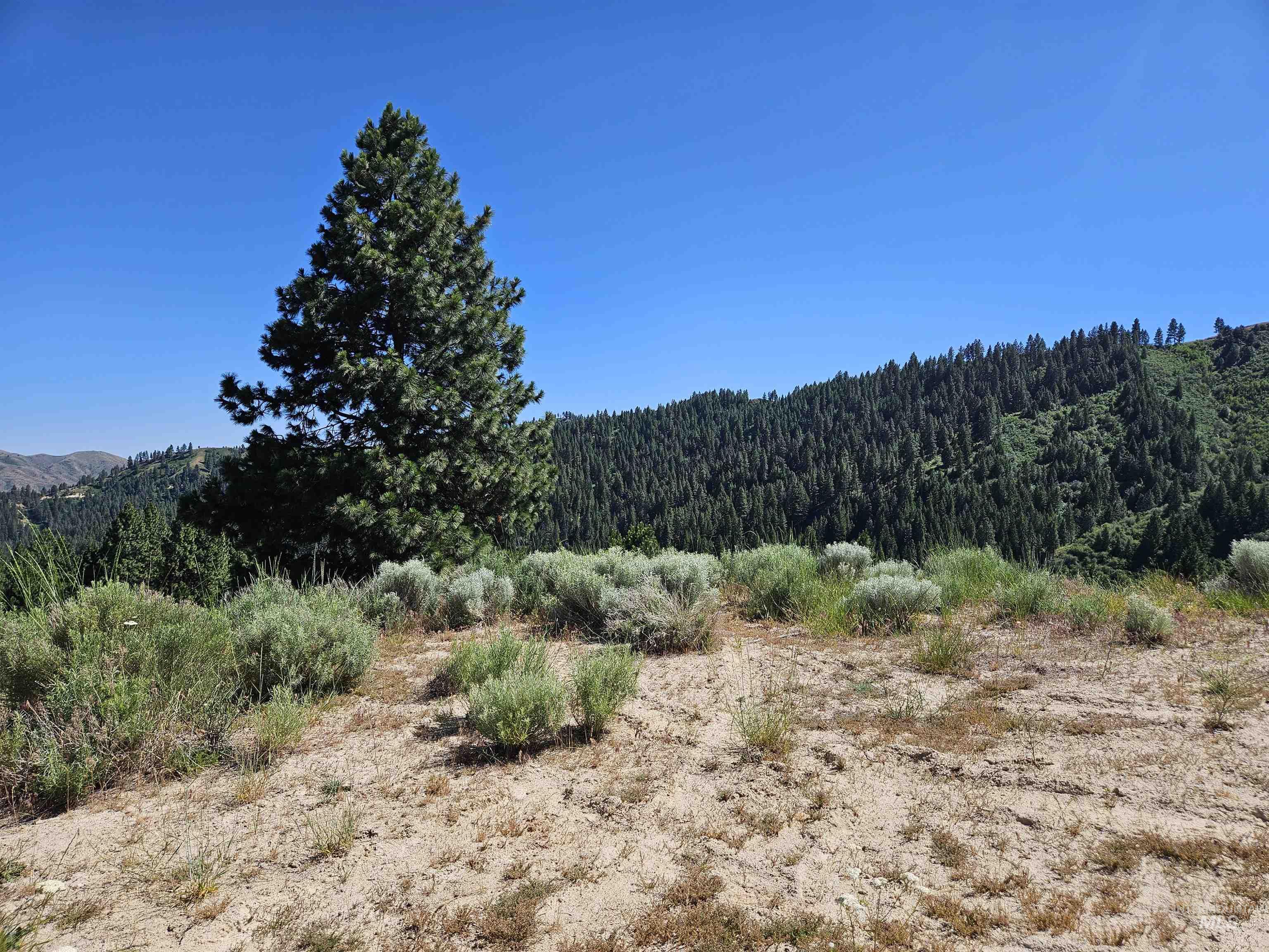 Lot 64 Wilderness Way Property Photo 6