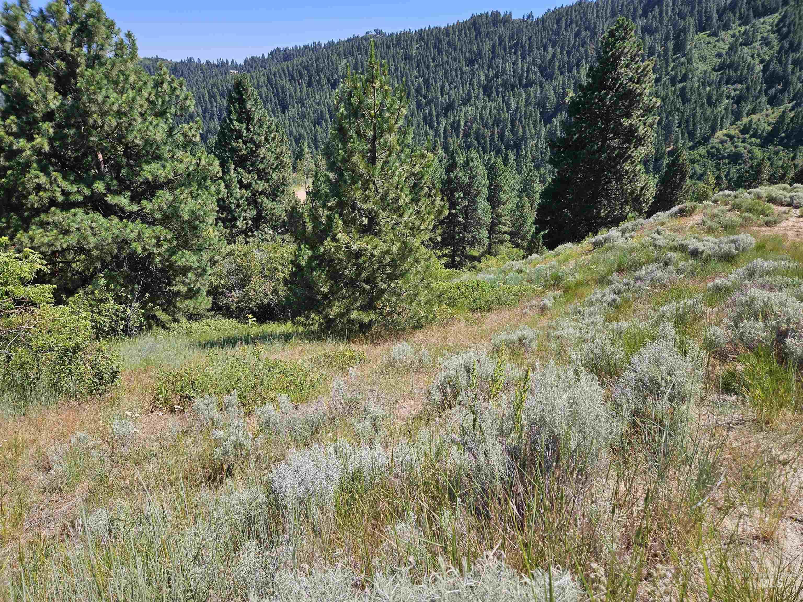 Lot 64 Wilderness Way Property Photo 8