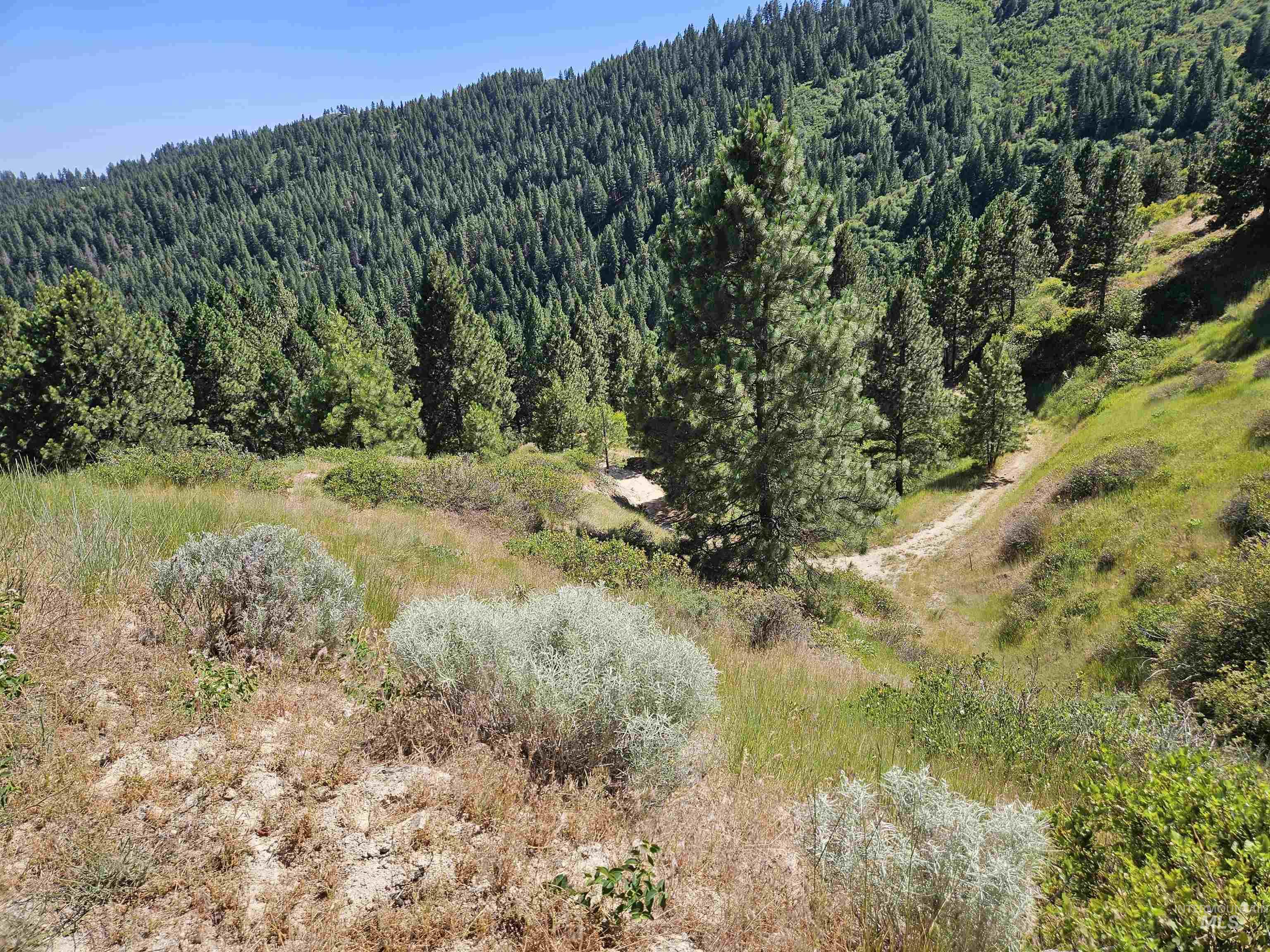 Lot 64 Wilderness Way Property Photo 9