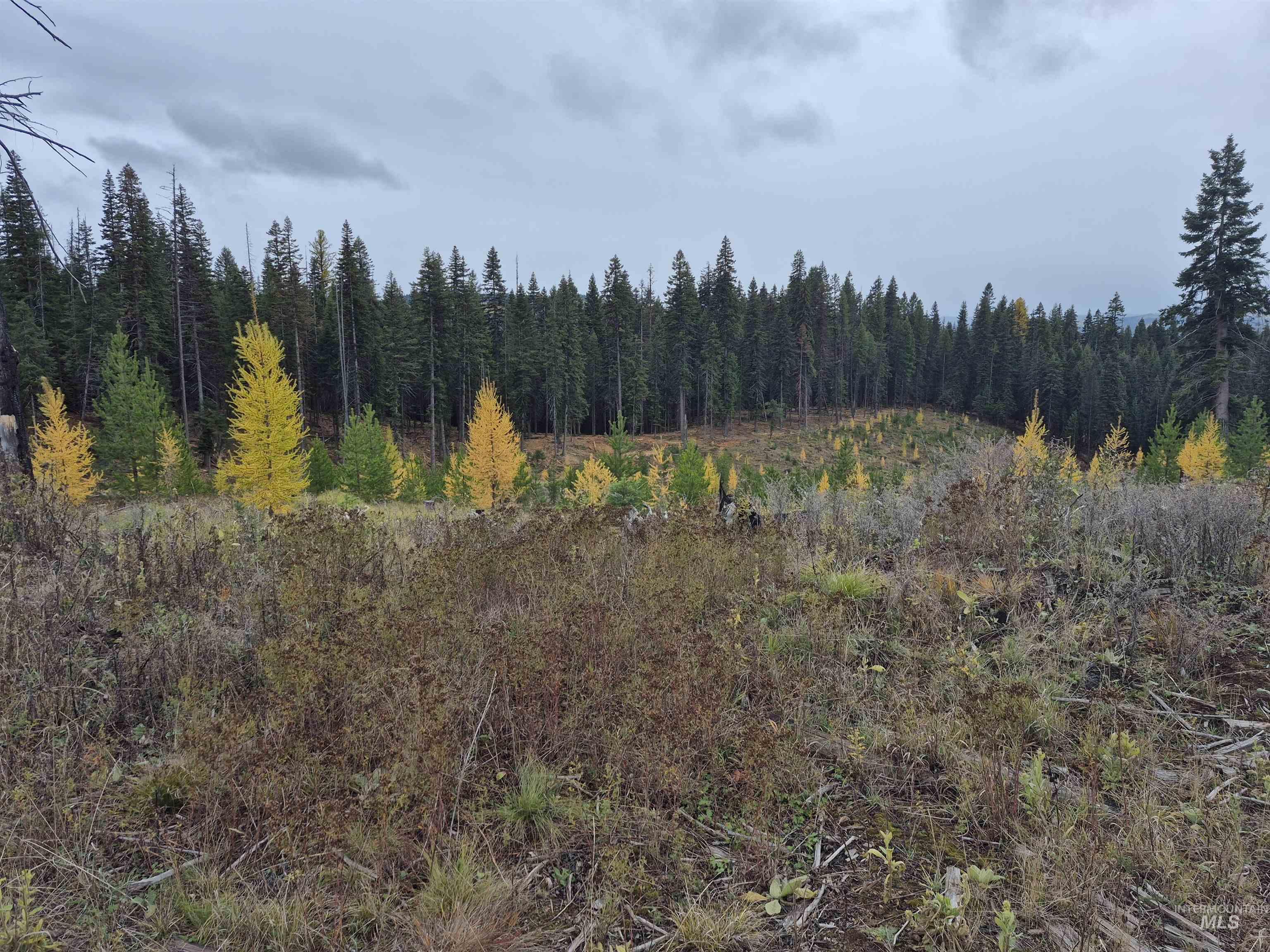 Tbd French Gulch Parcel 3 Property Photo 4