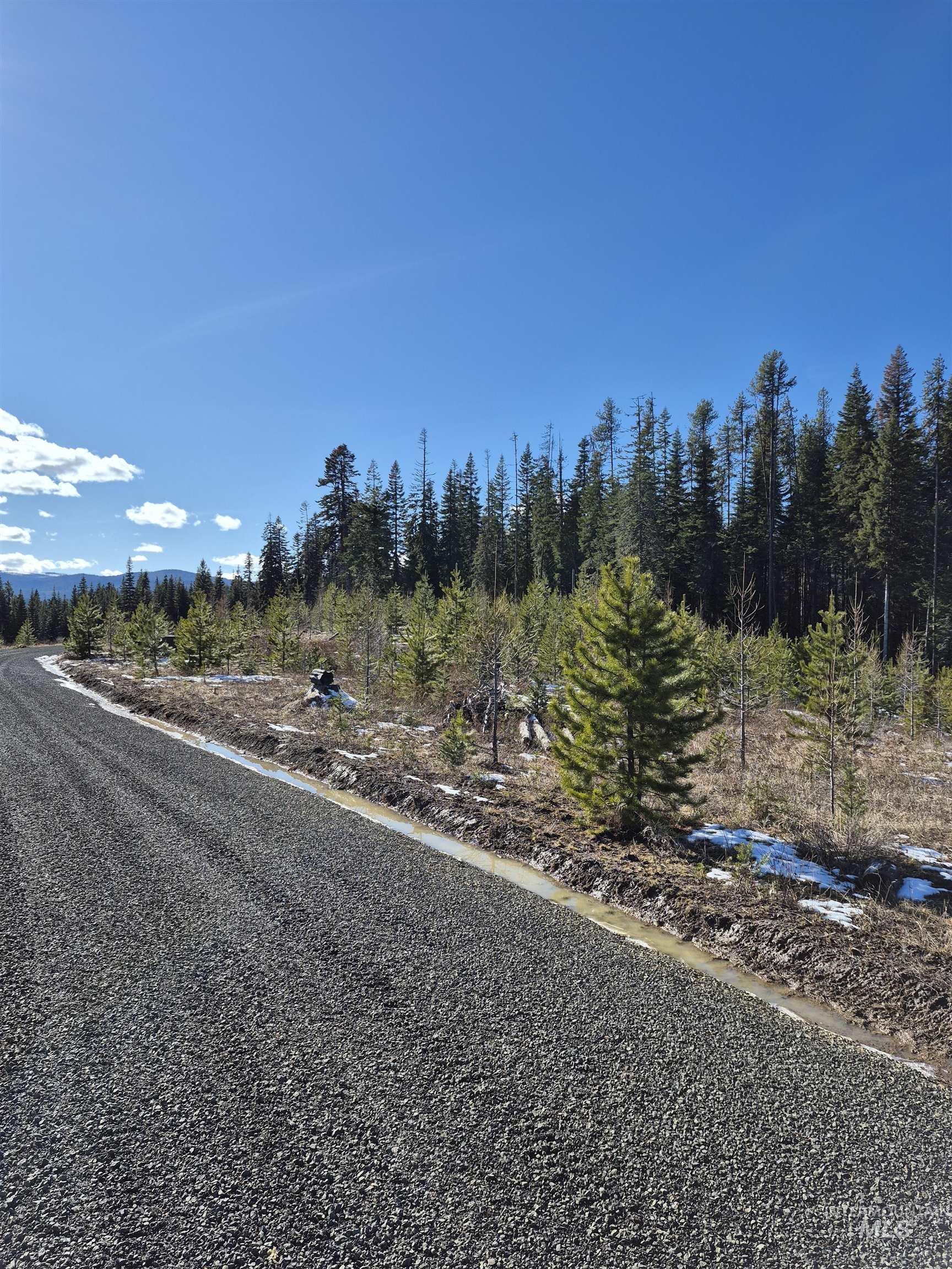 Tbd French Gulch Parcel 3 Property Photo 9
