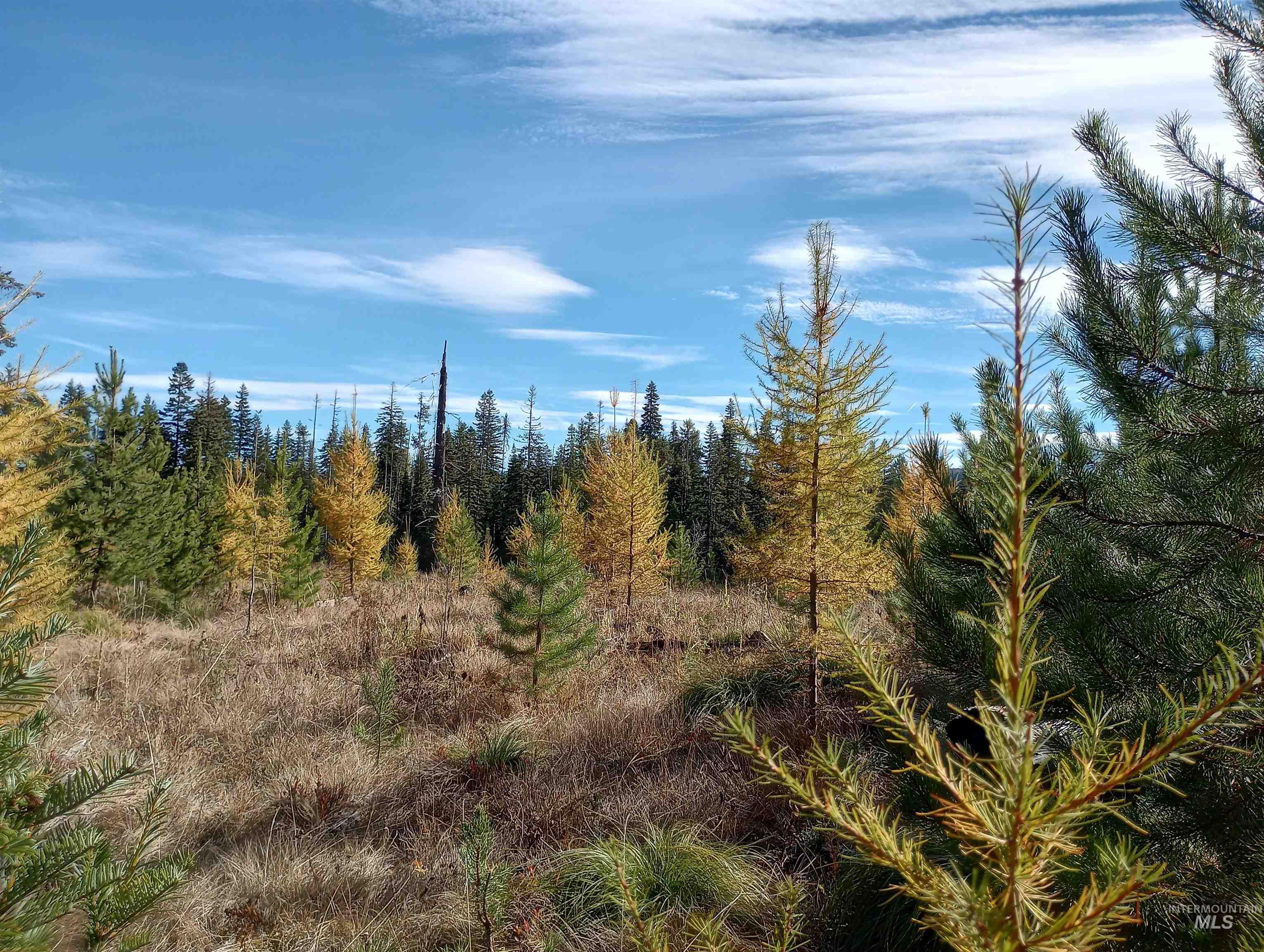 Tbd French Gulch Parcel 3 Property Photo 10